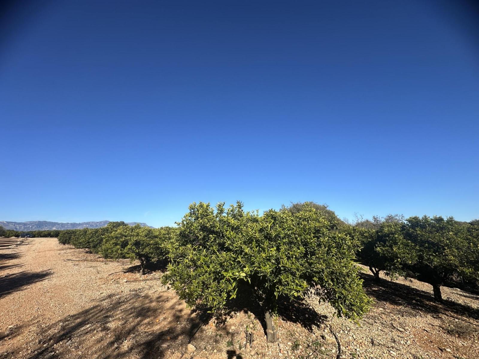 Plot for Sale in Masdenverge