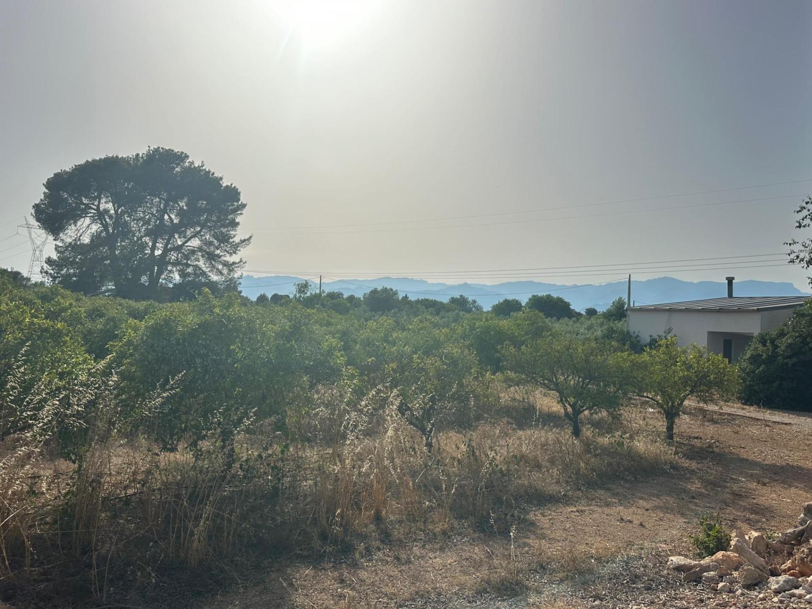 Plot for Sale in Masdenverge