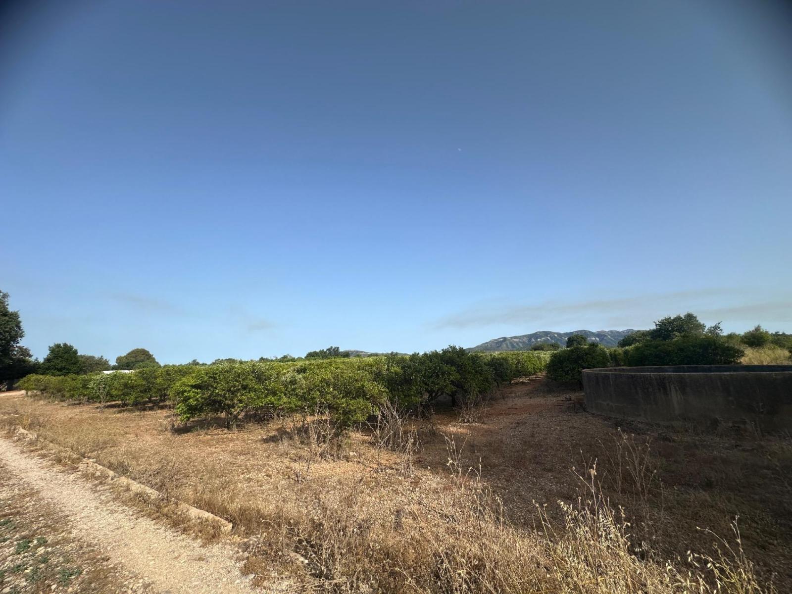 Plot for Sale in Masdenverge