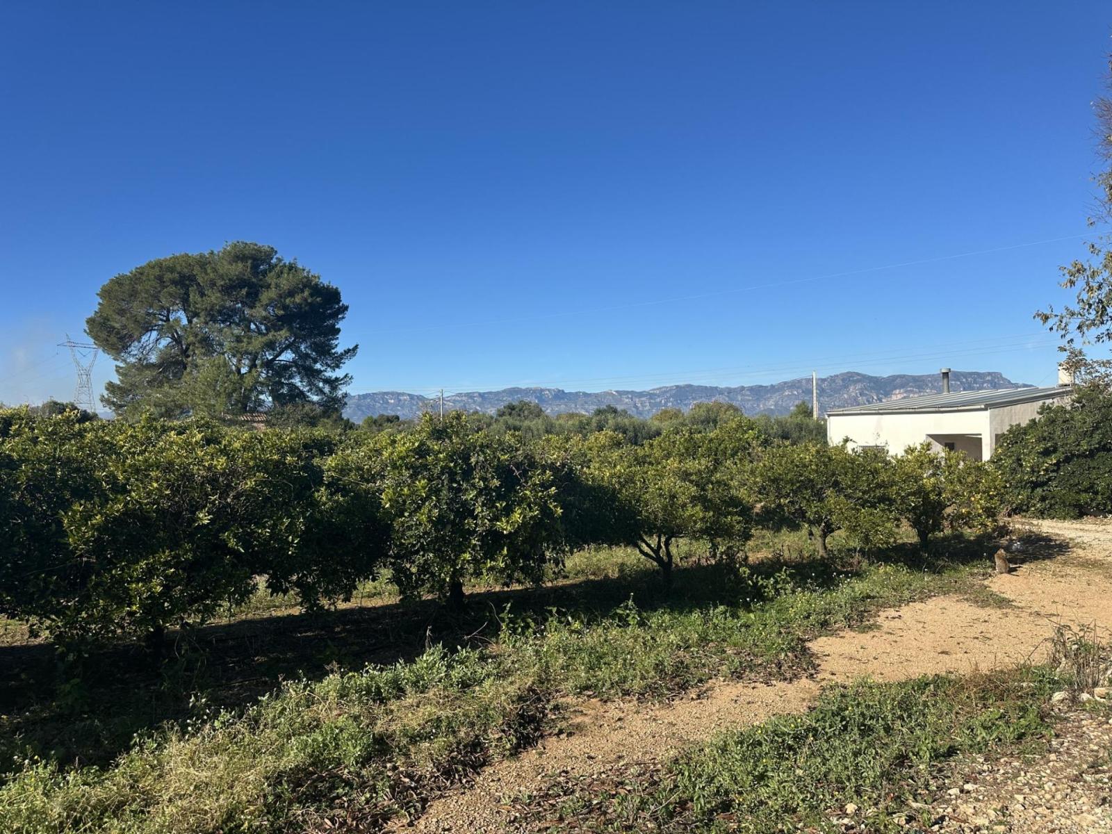 Plot for Sale in Masdenverge