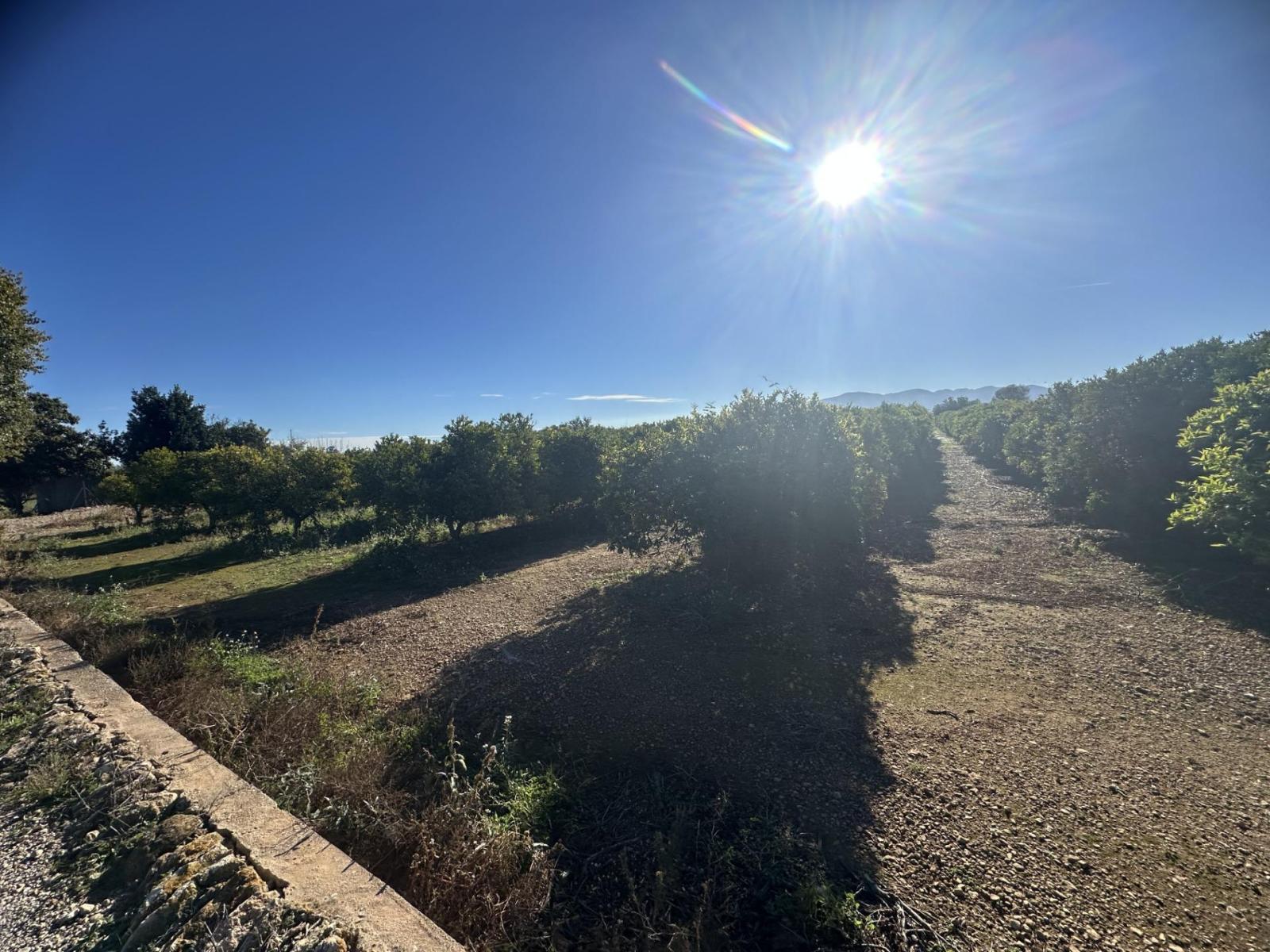 Plot for Sale in Masdenverge
