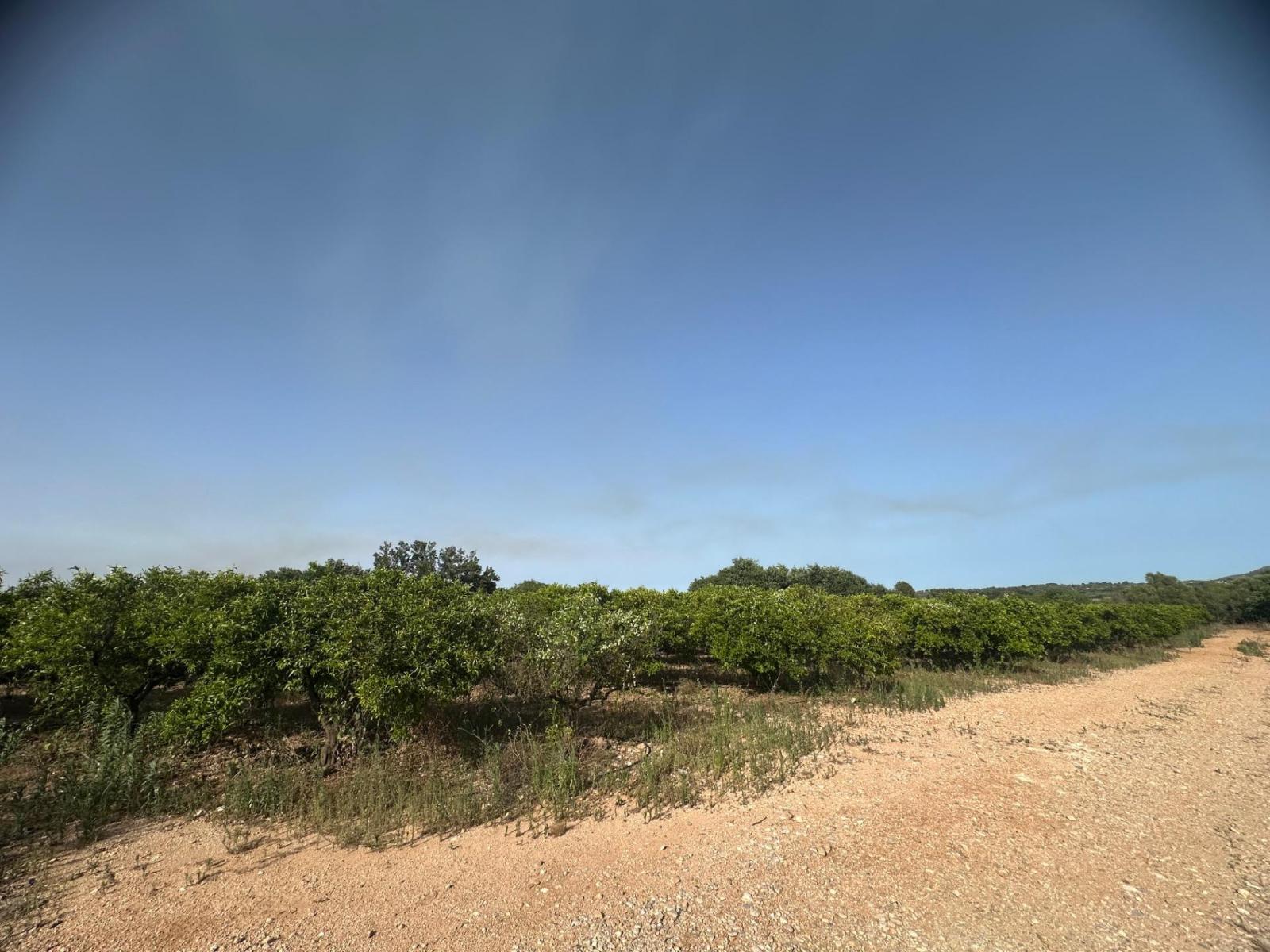 Plot for Sale in Masdenverge