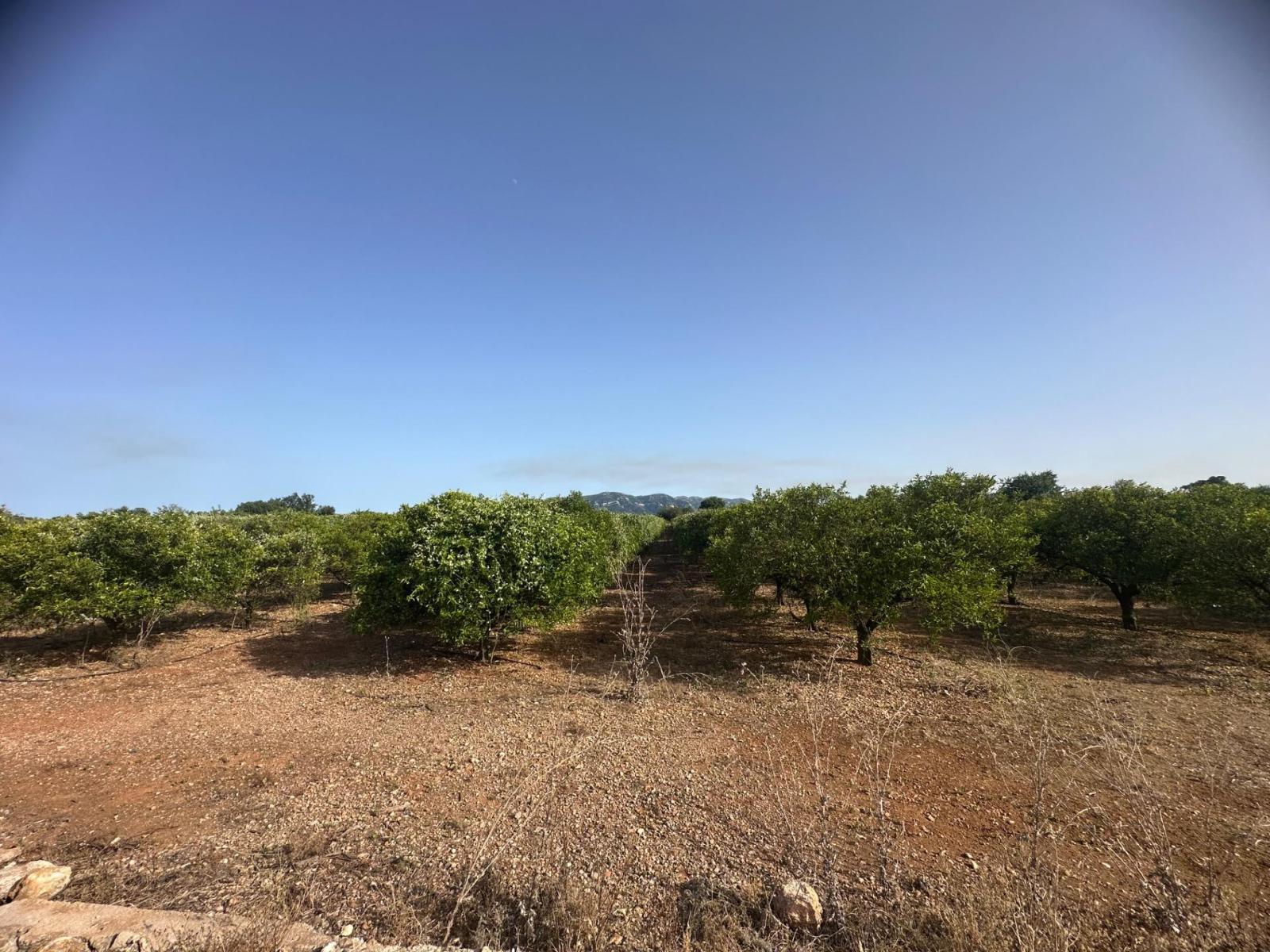 Plot for Sale in Masdenverge