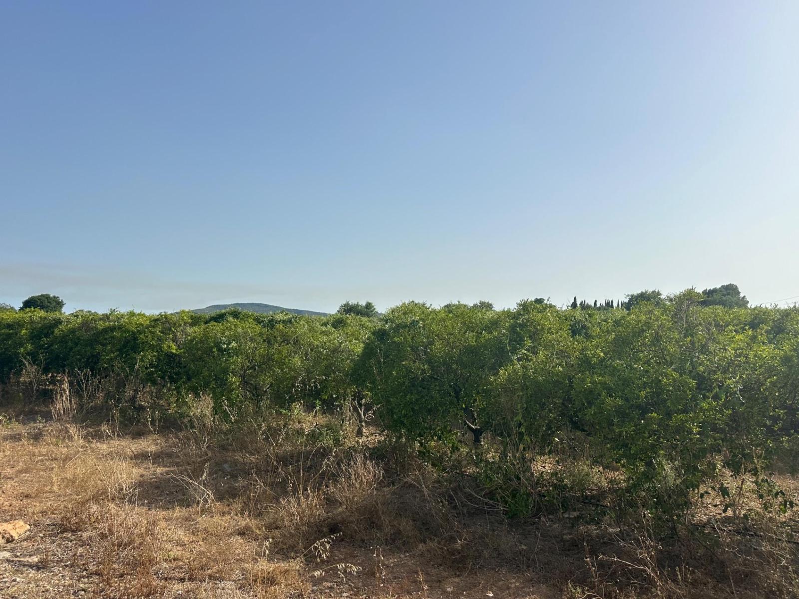 Plot for Sale in Masdenverge