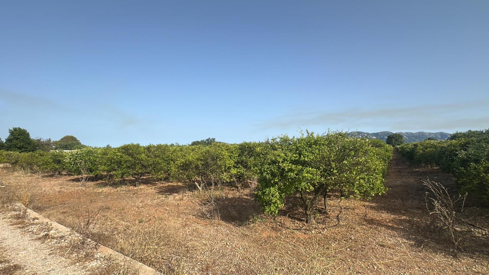 Plot for Sale in Masdenverge