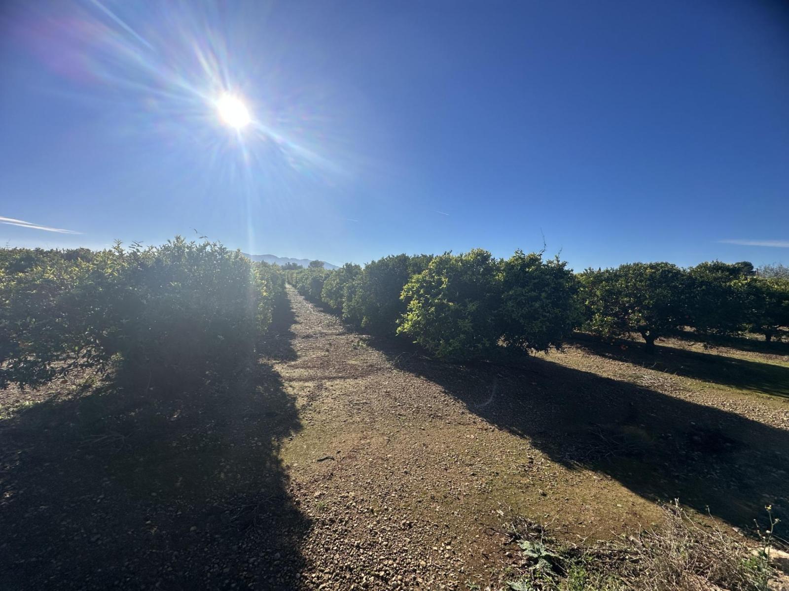 Plot for Sale in Masdenverge
