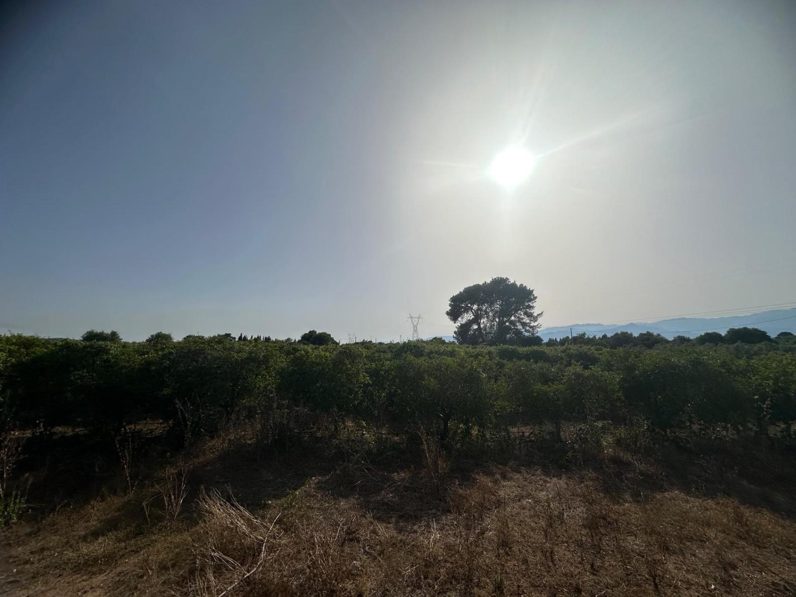Plot for Sale in Masdenverge