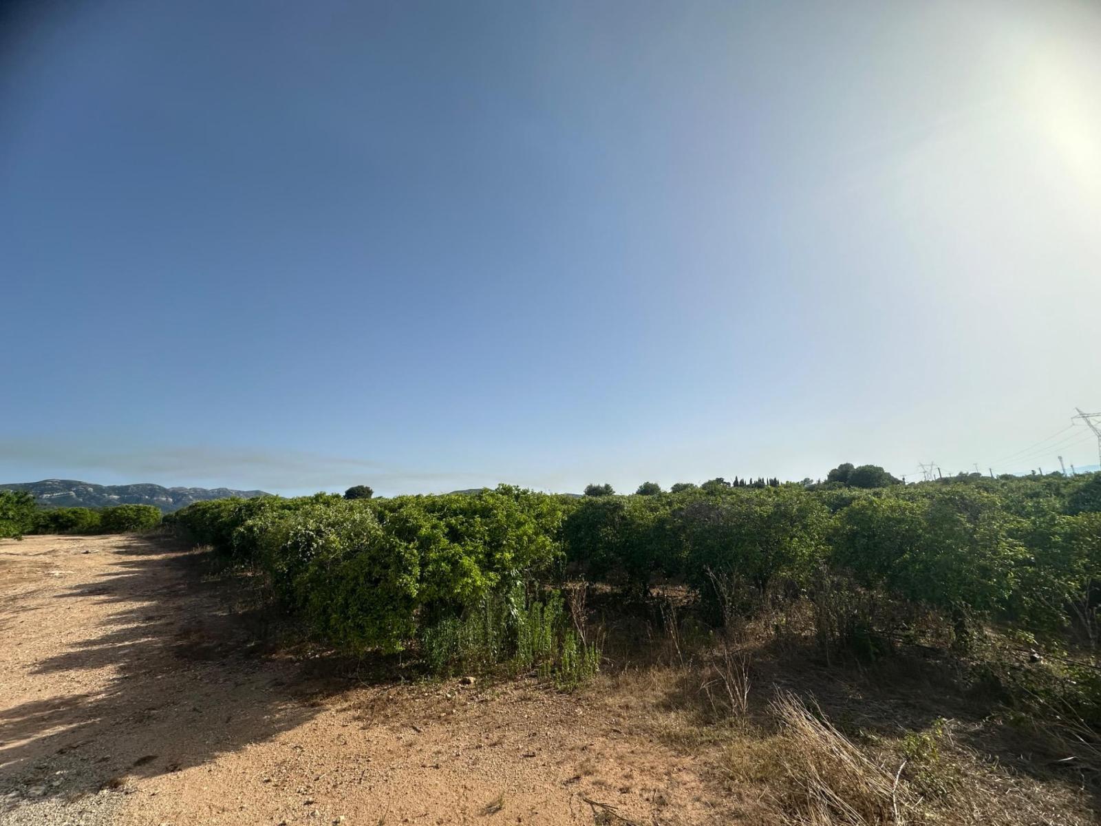 Plot for Sale in Masdenverge
