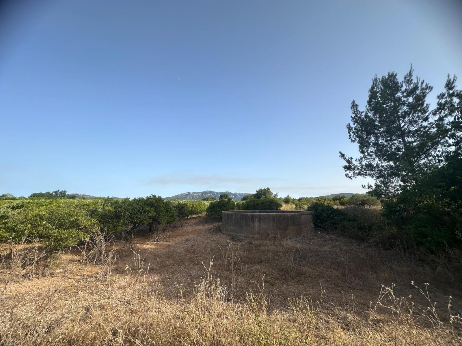 Plot for Sale in Masdenverge