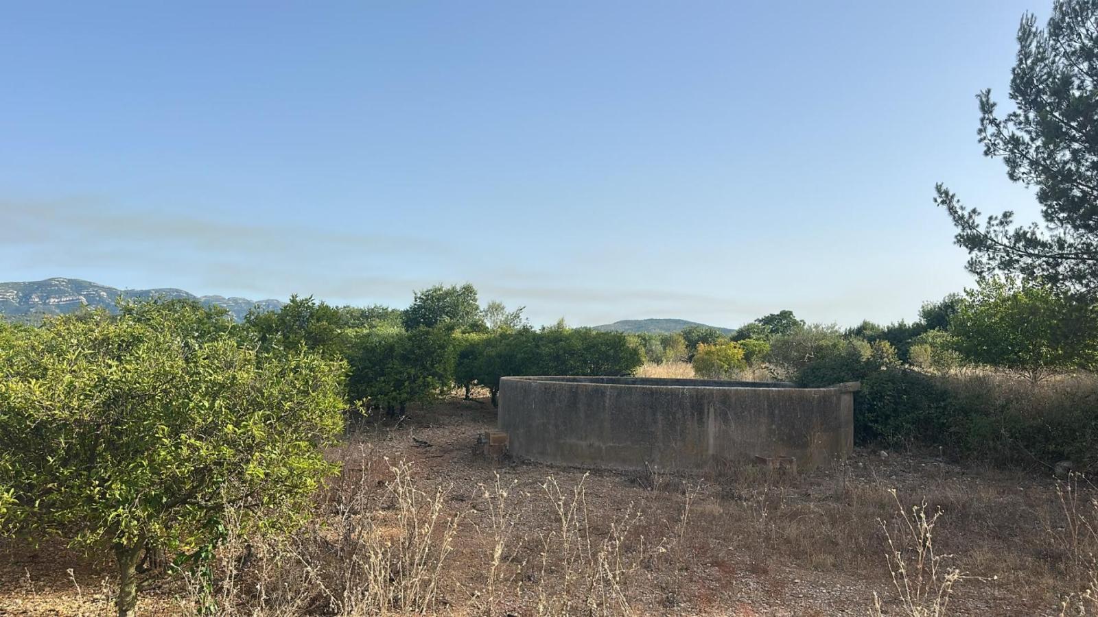 Plot for Sale in Masdenverge