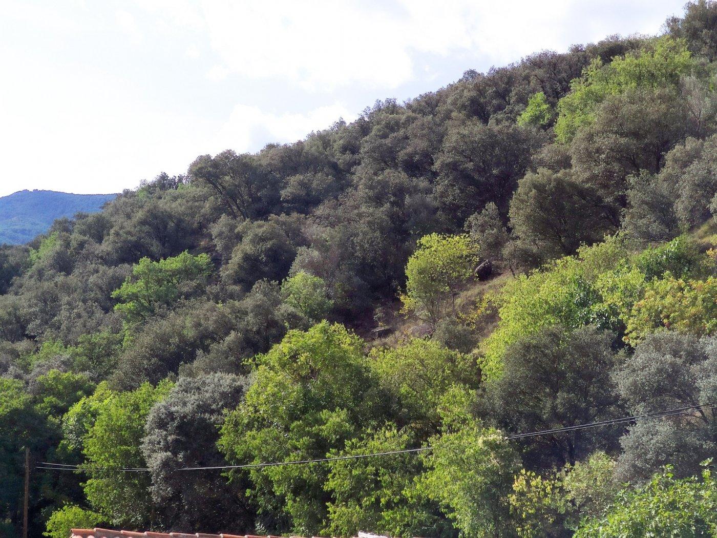 Building for Sale in Soriguera
