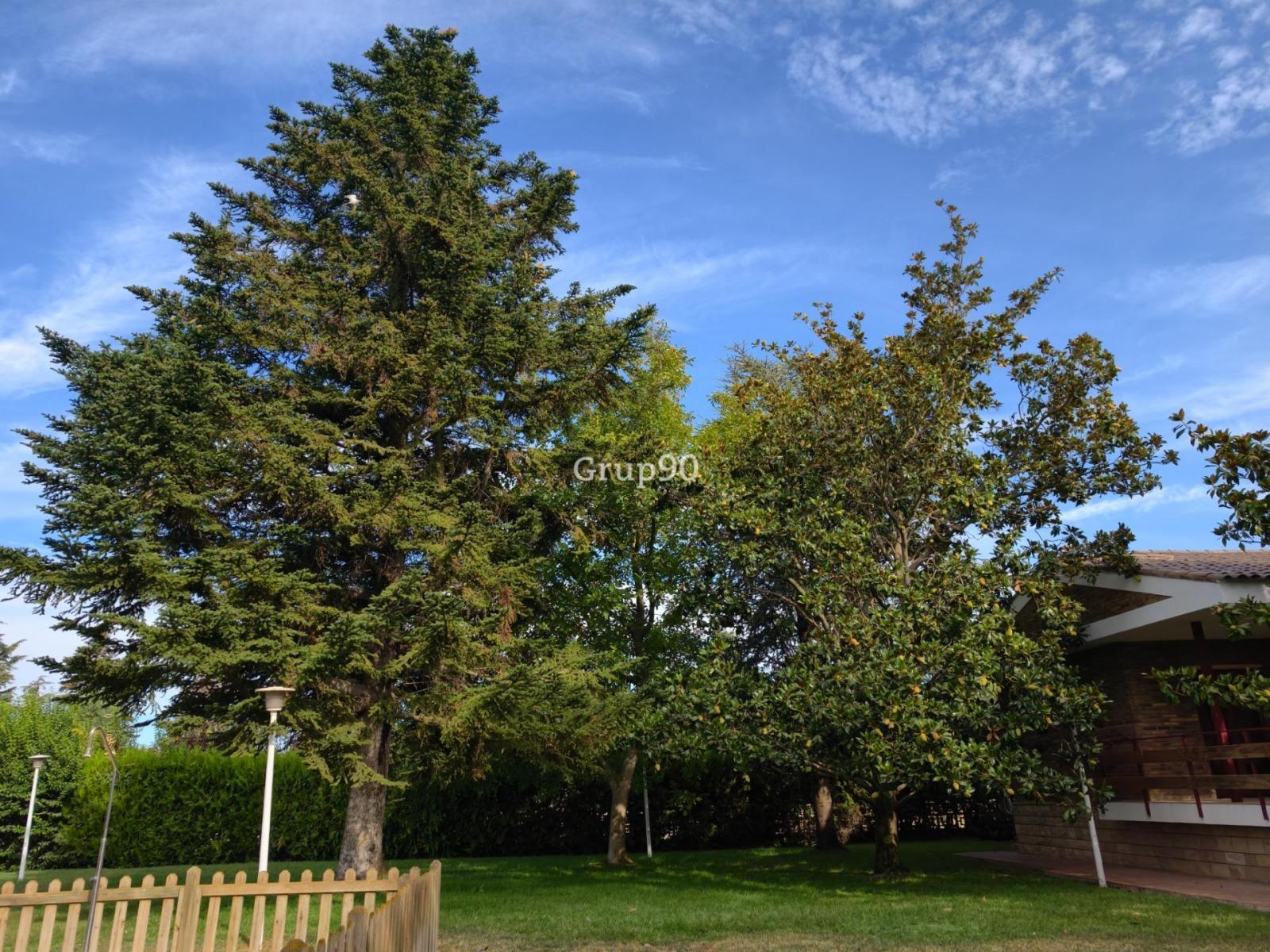Chalet for Sale in Alpicat