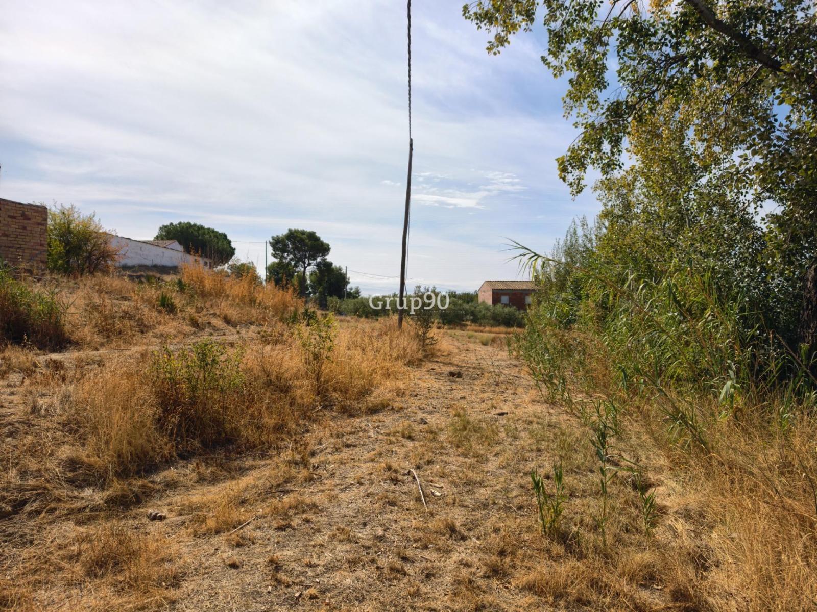 Parcela en Venta en Alpicat