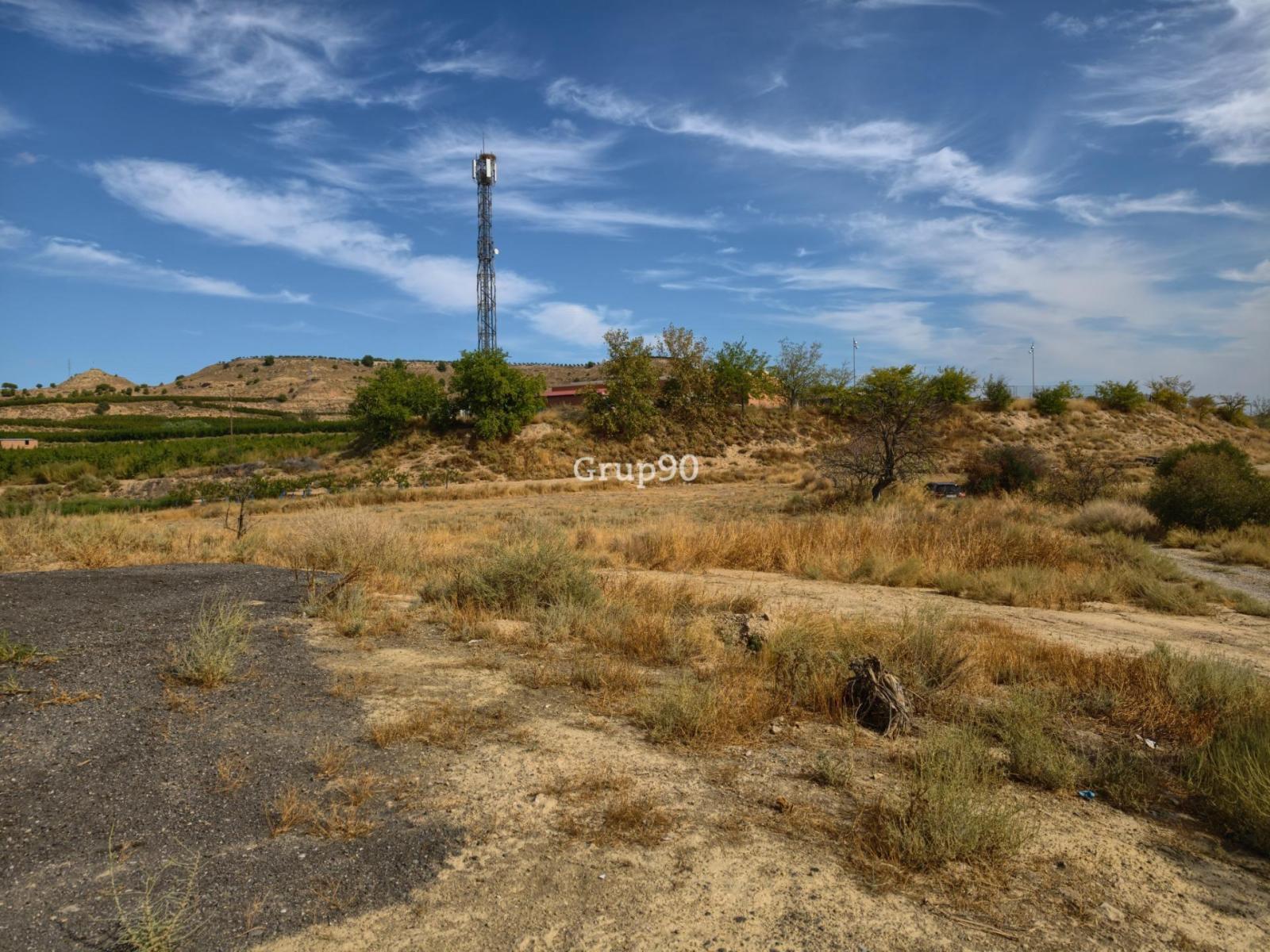 Plot for Sale in Alpicat