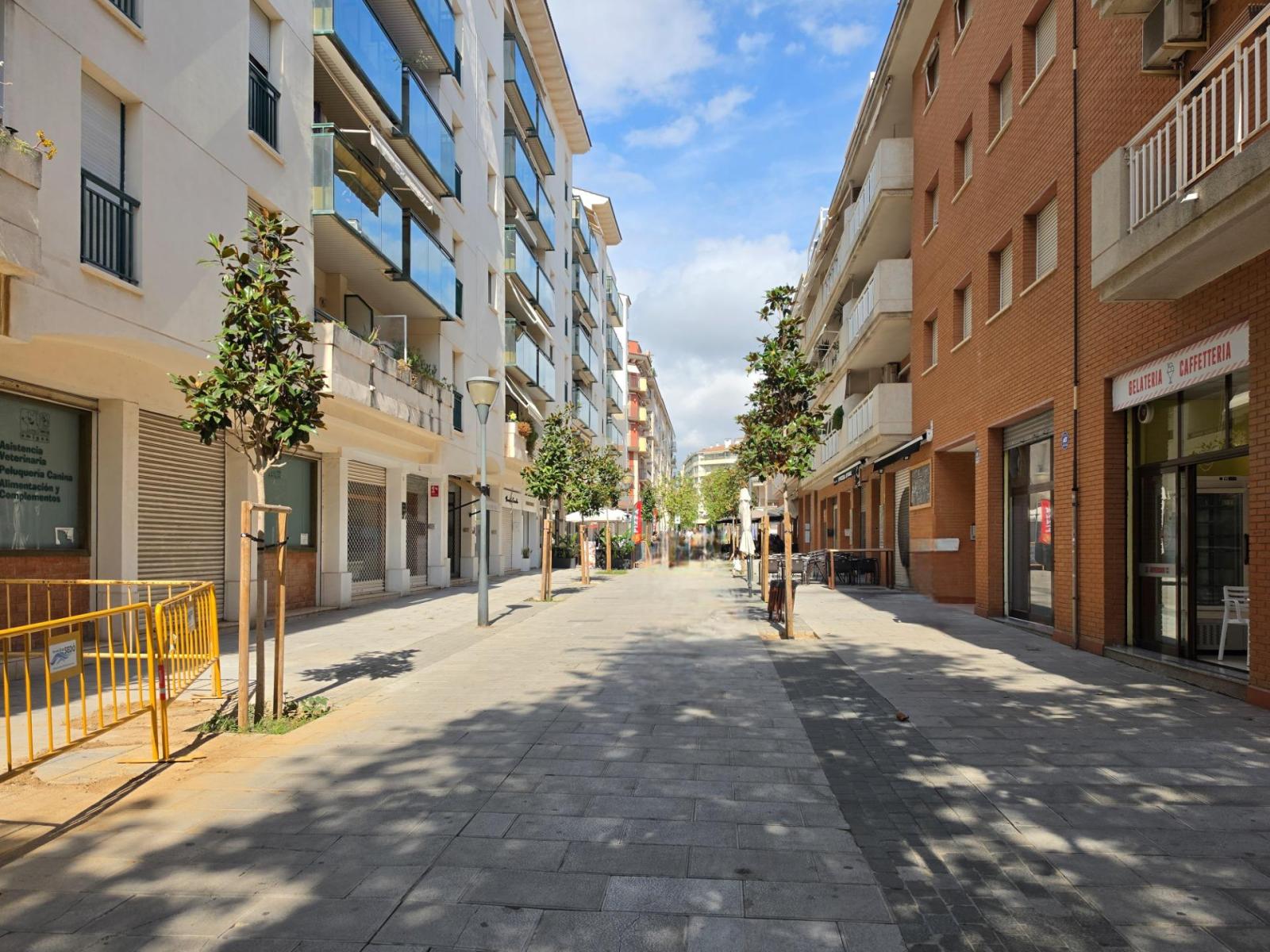 Premise for Sale in Cambrils