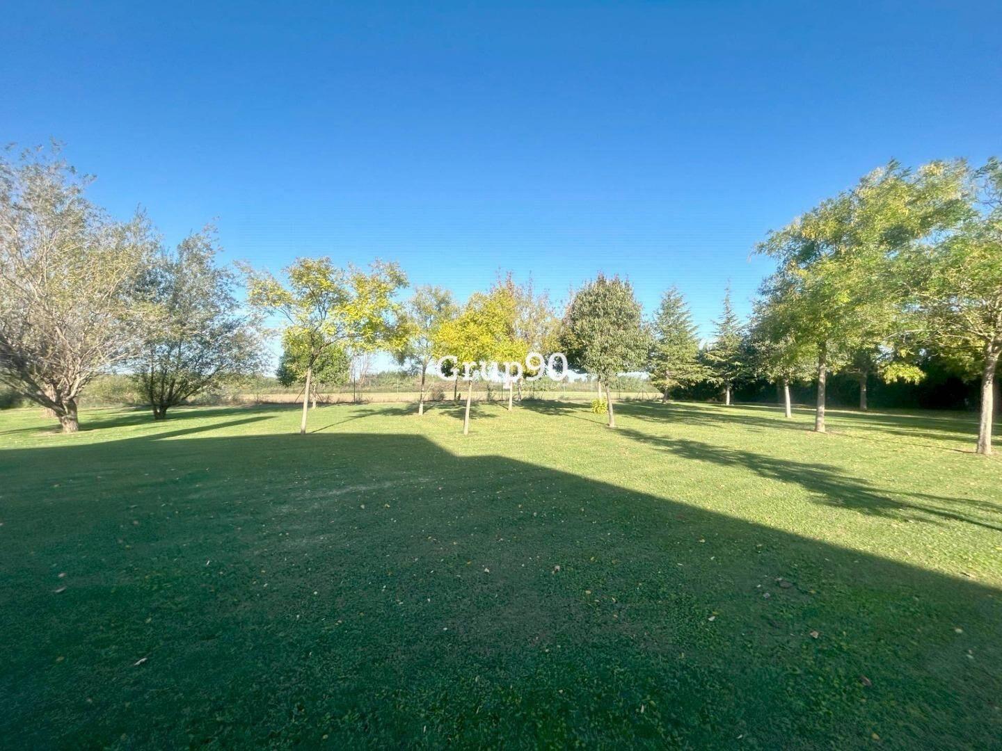 Premise for Sale in Puigverd de Lleida