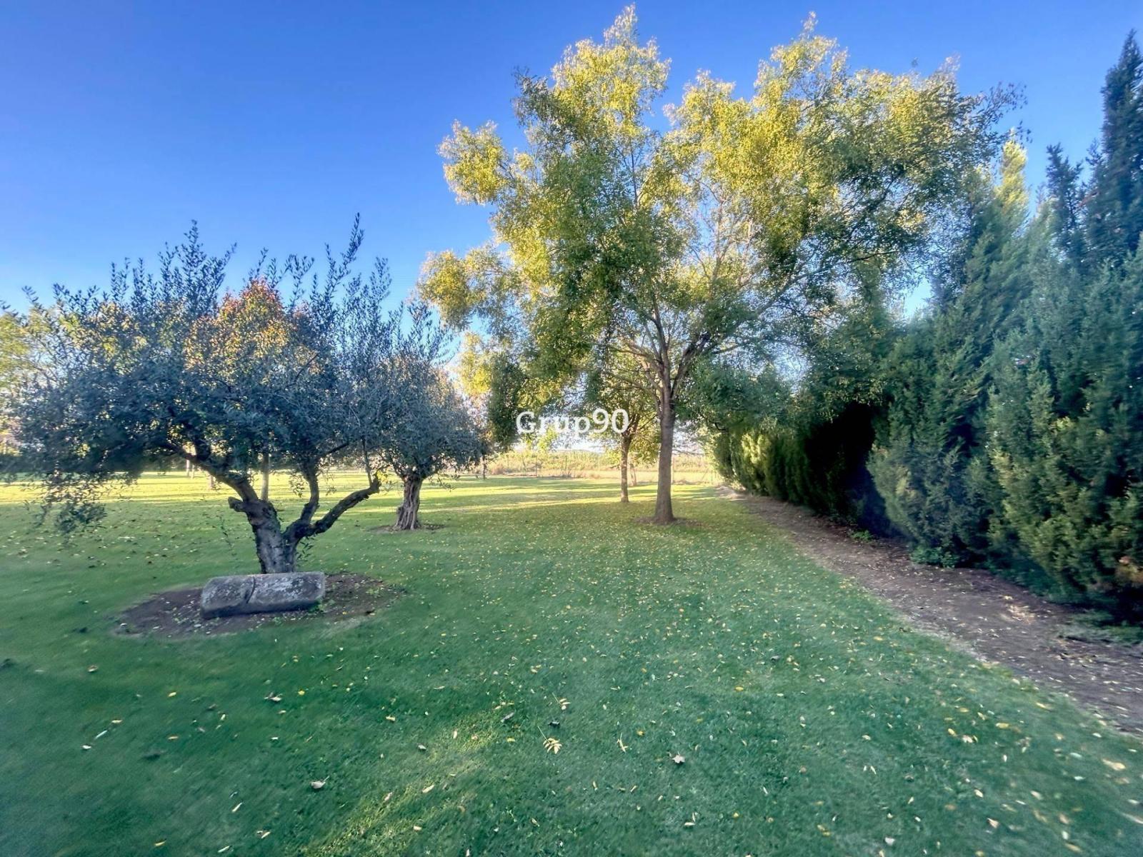 Premise for Sale in Puigverd de Lleida