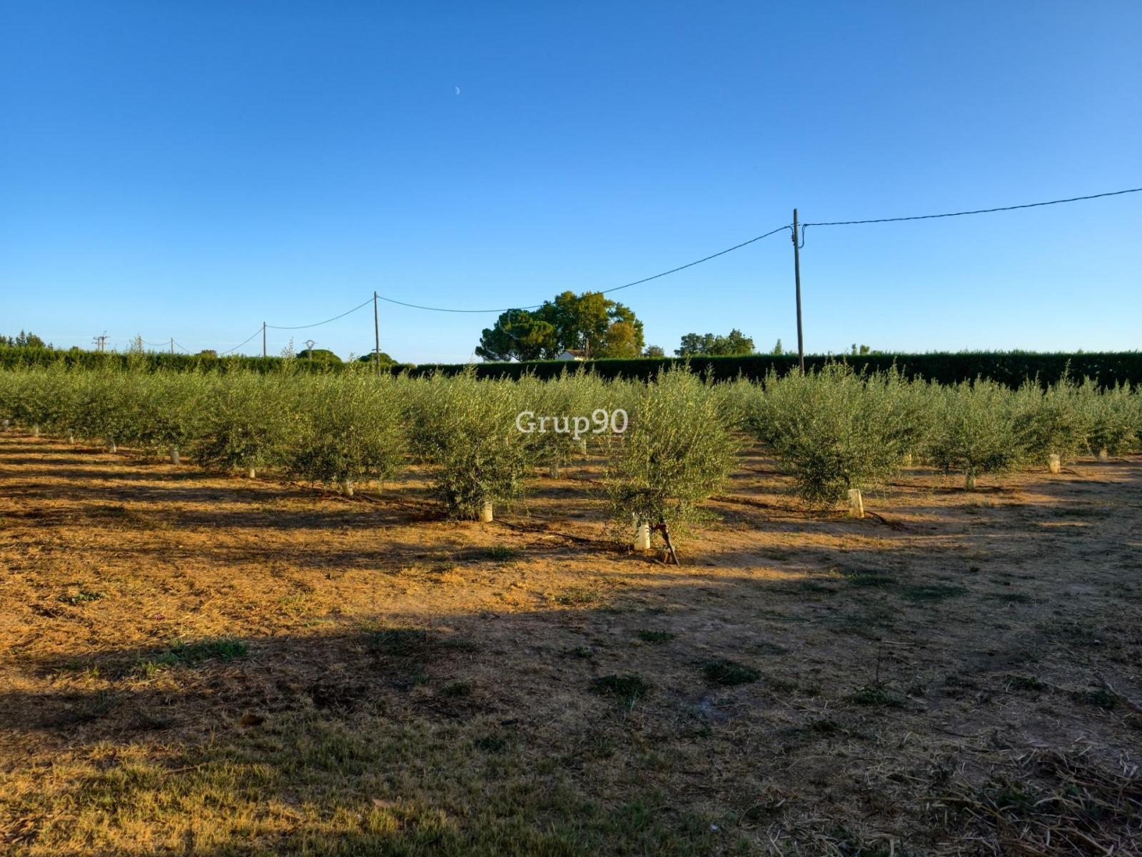 Parcela en Venta en Lleida