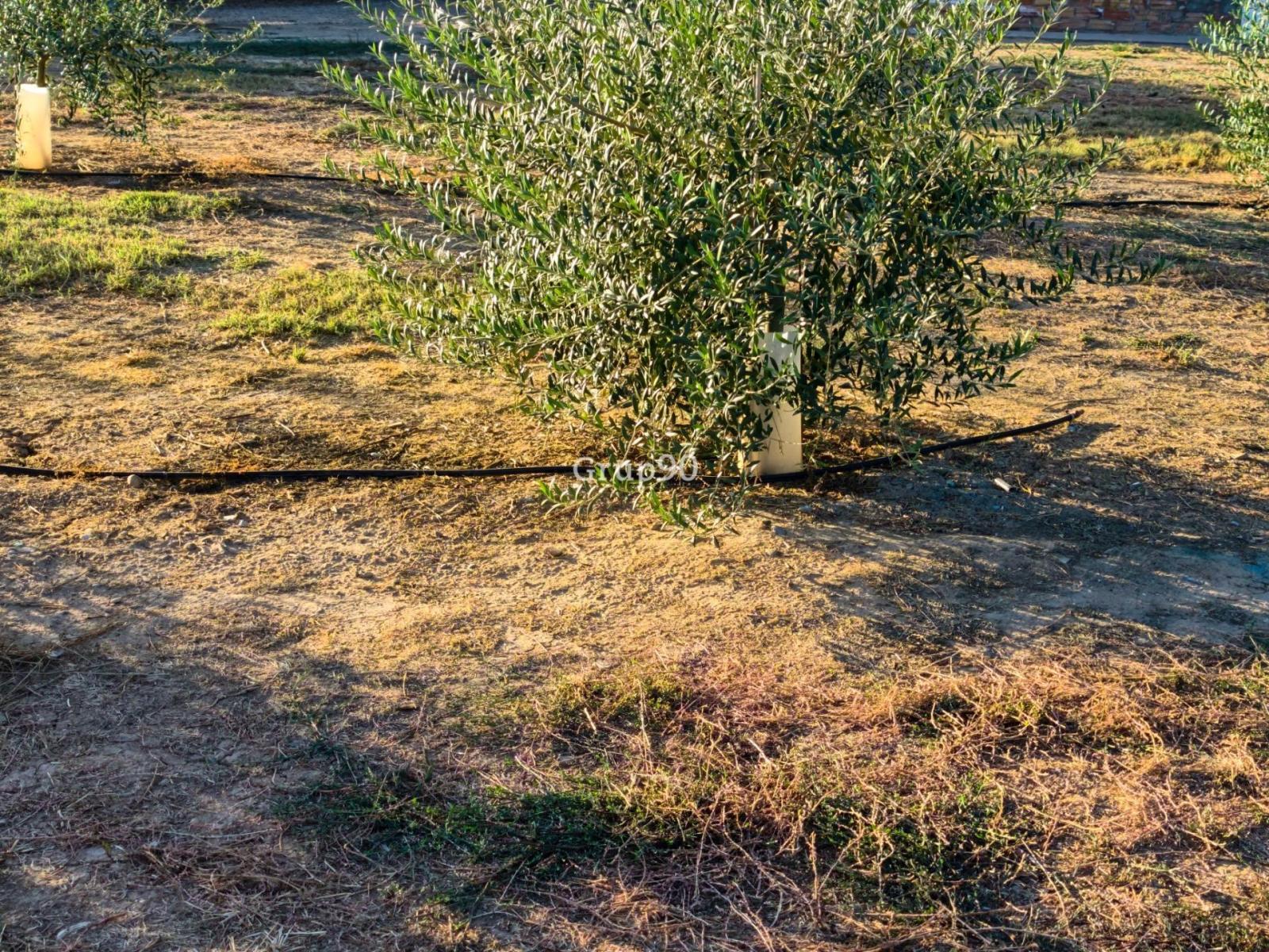 Parcela en Venta en Lleida