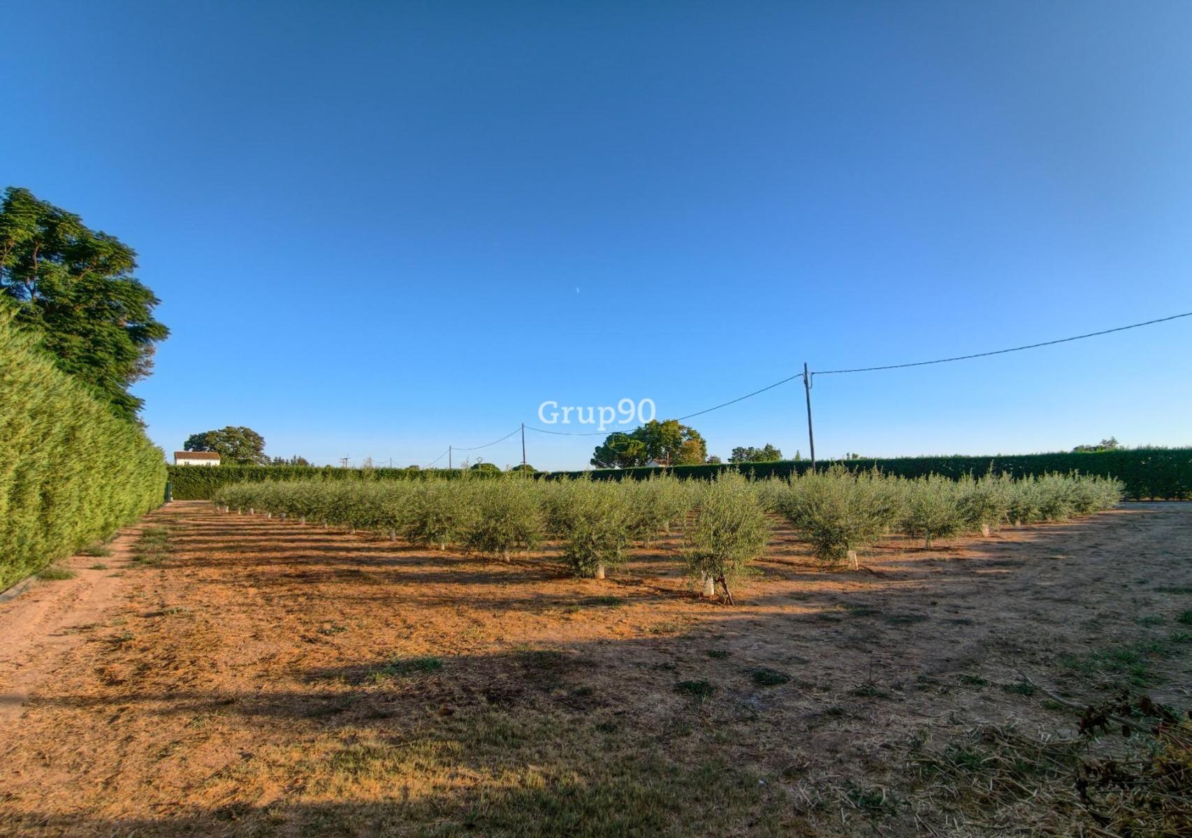 Parcela en Venta en Lleida