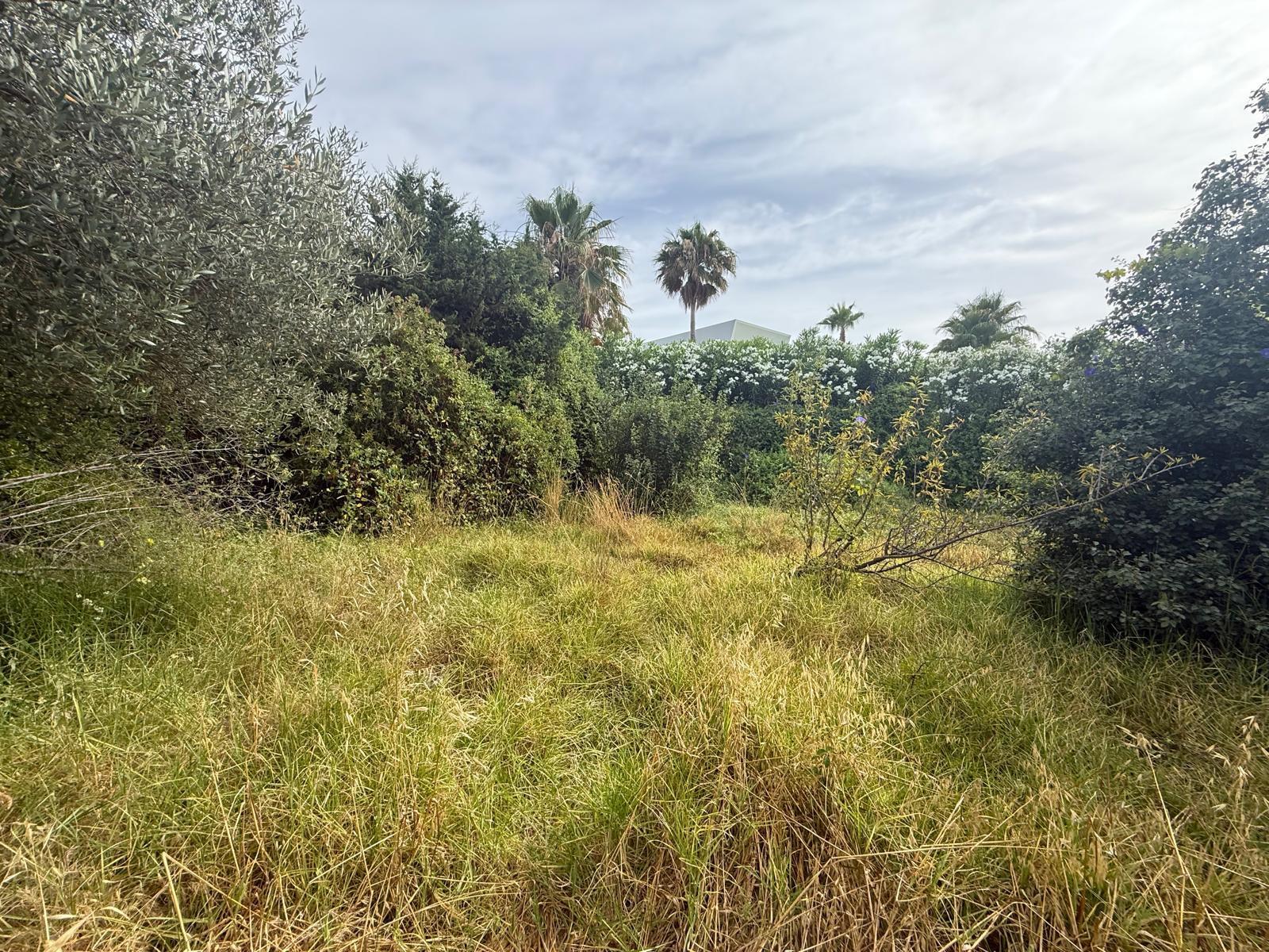 Plot for Sale in Estepona