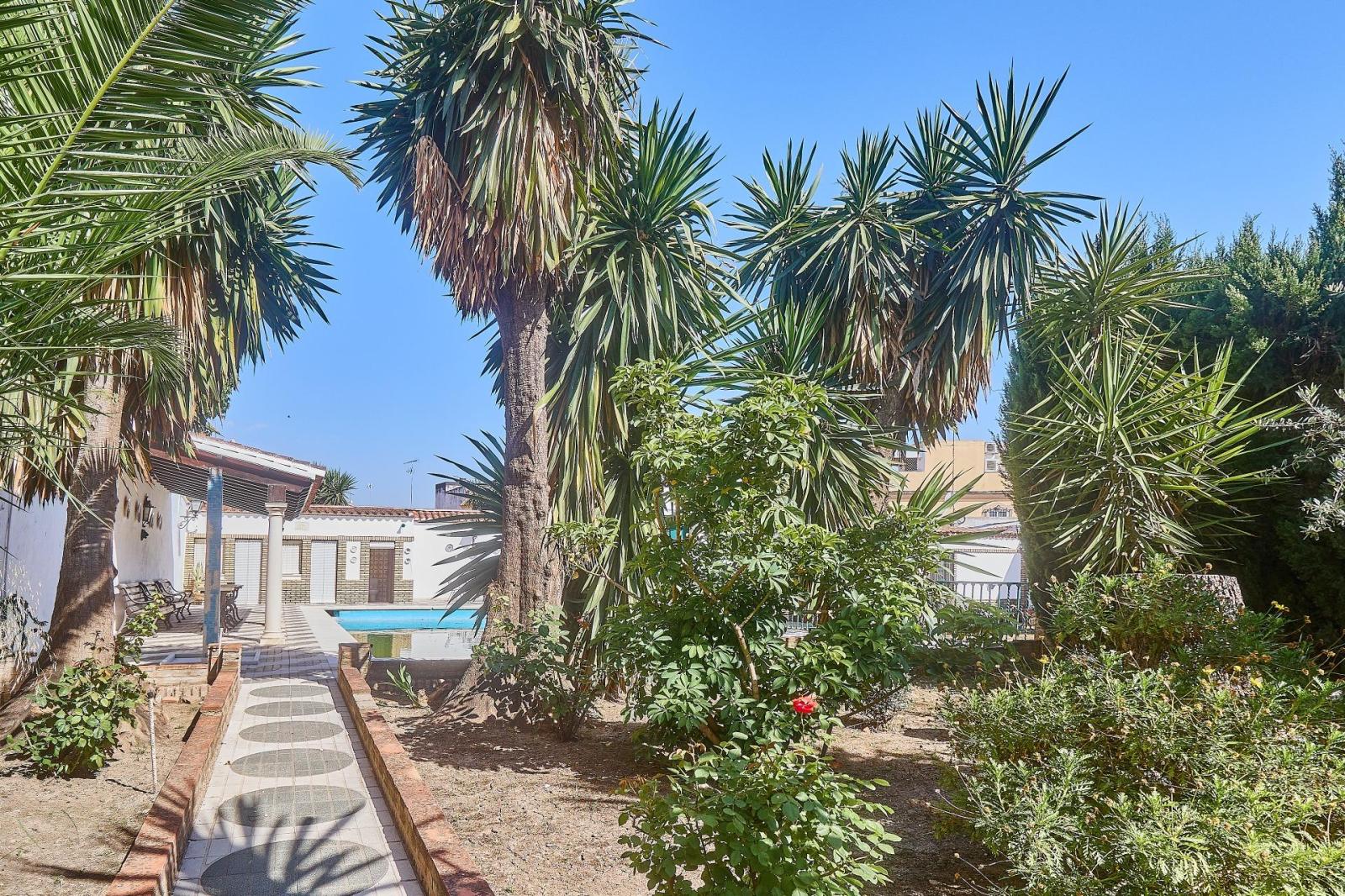 Premise for Sale in Aguilar de la Frontera