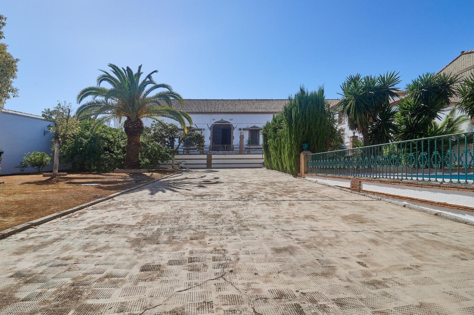 Premise for Sale in Aguilar de la Frontera