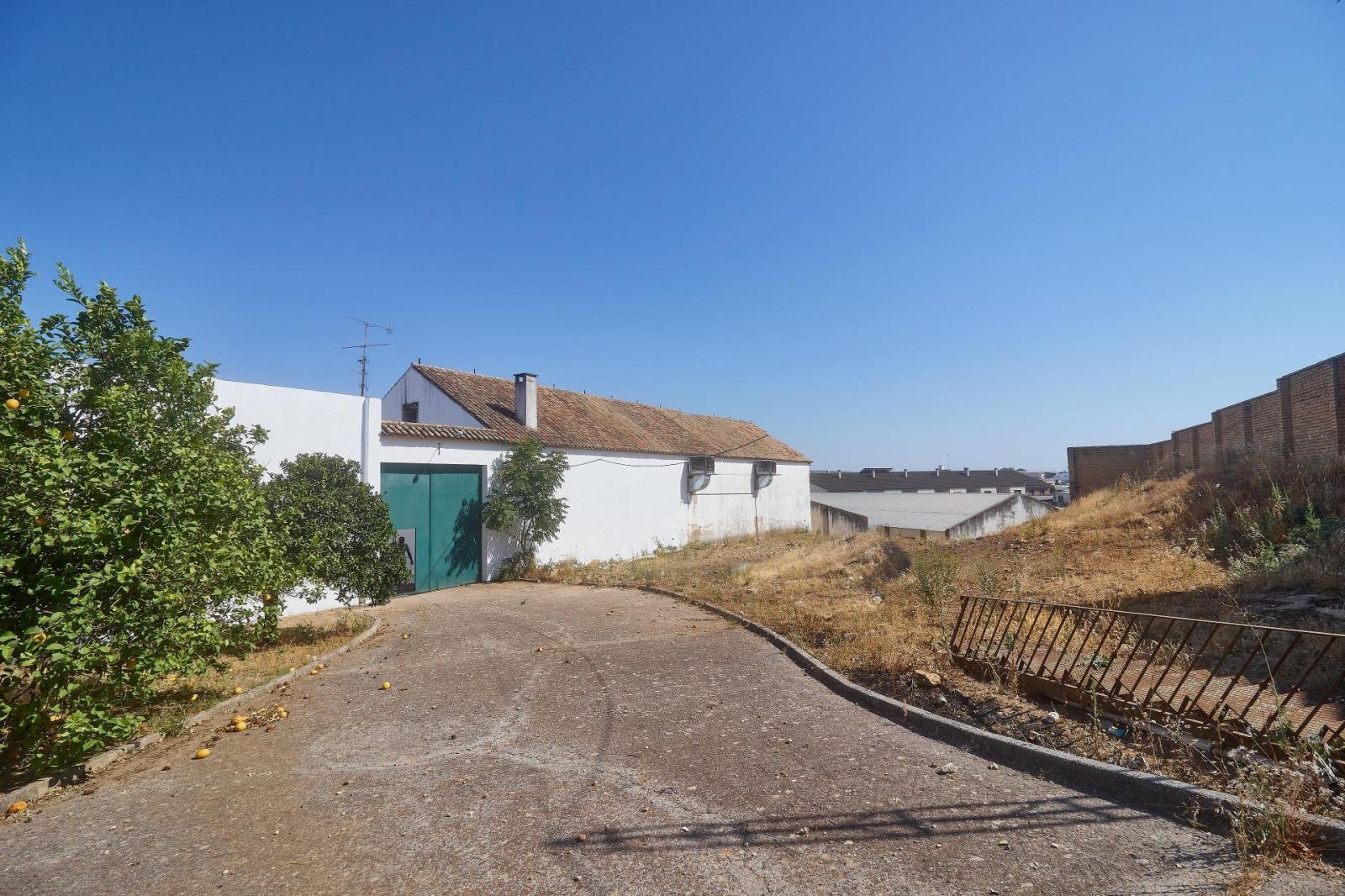 Premise for Sale in Aguilar de la Frontera