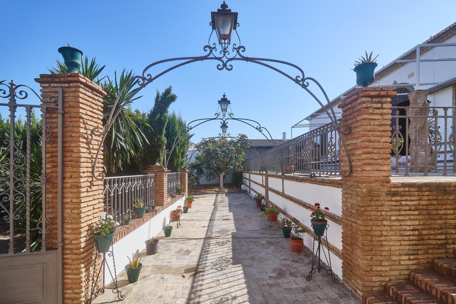 Premise for Sale in Aguilar de la Frontera