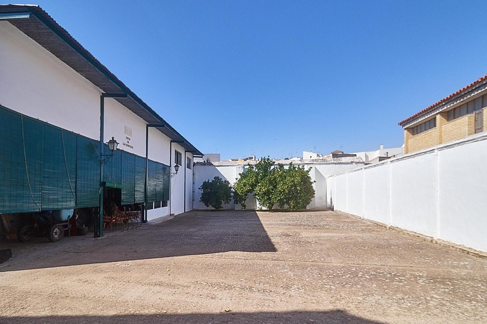 Premise for Sale in Aguilar de la Frontera