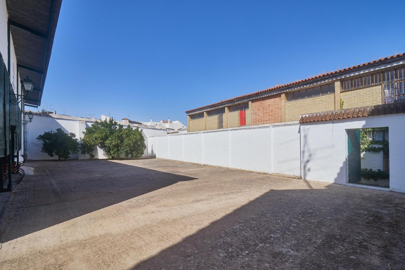 Premise for Sale in Aguilar de la Frontera