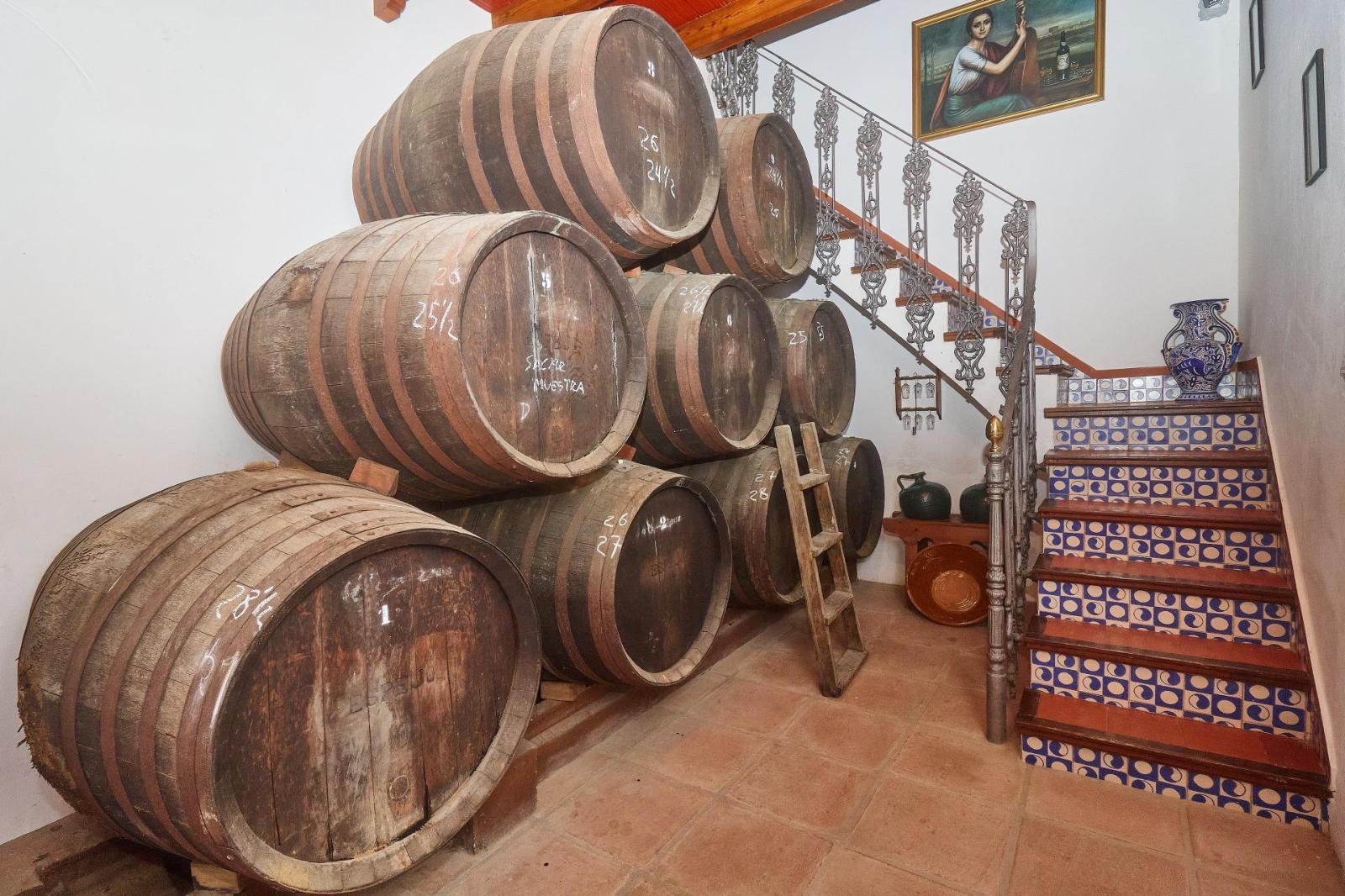 Premise for Sale in Aguilar de la Frontera