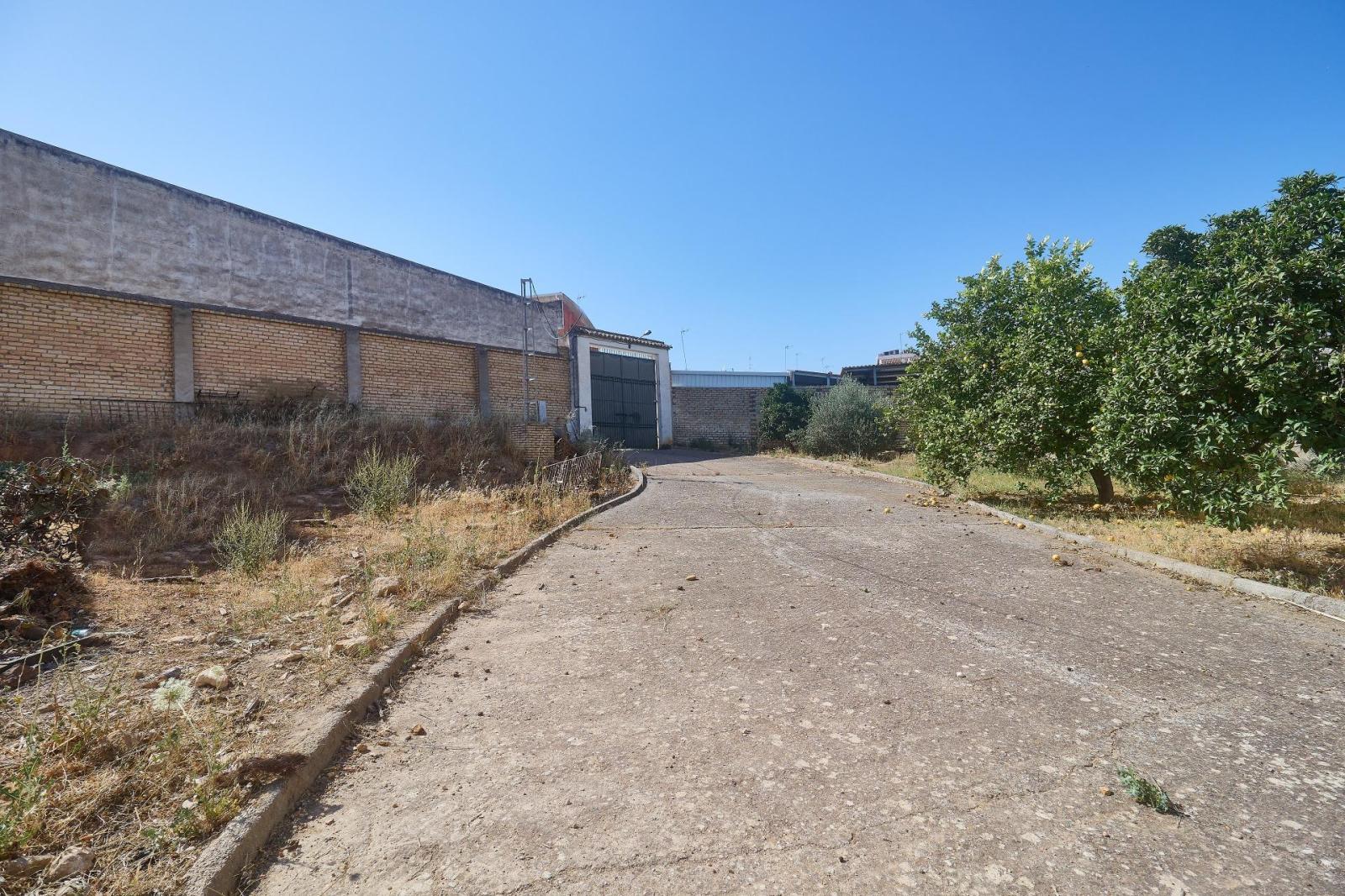 Premise for Sale in Aguilar de la Frontera