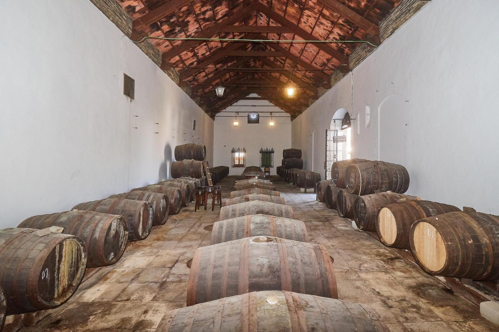 Premise for Sale in Aguilar de la Frontera