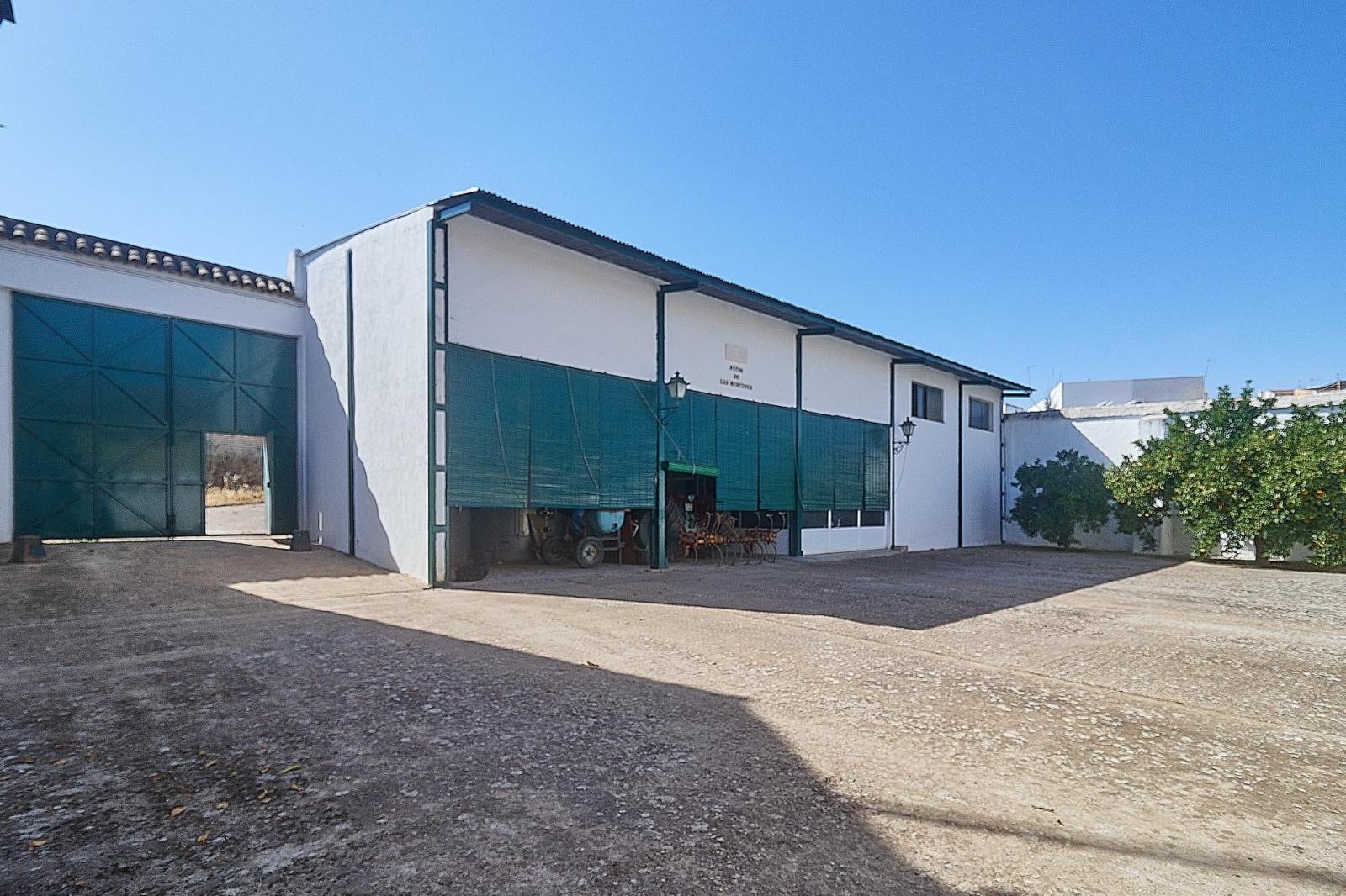 Premise for Sale in Aguilar de la Frontera