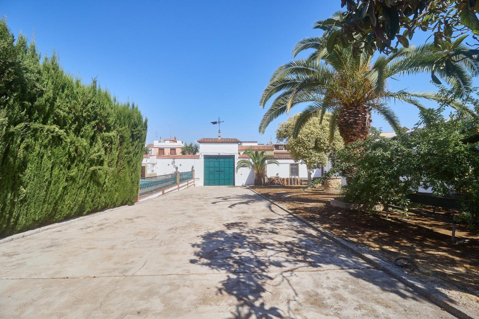 Premise for Sale in Aguilar de la Frontera