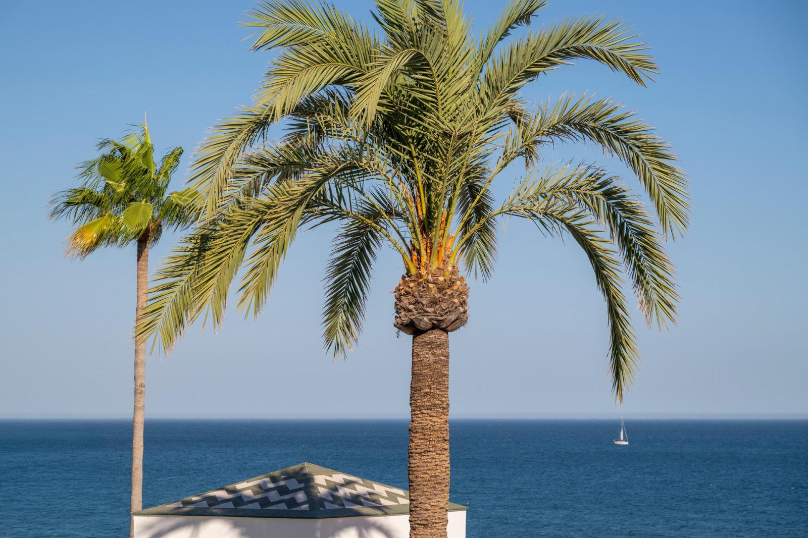Penthouse for Sale in Estepona