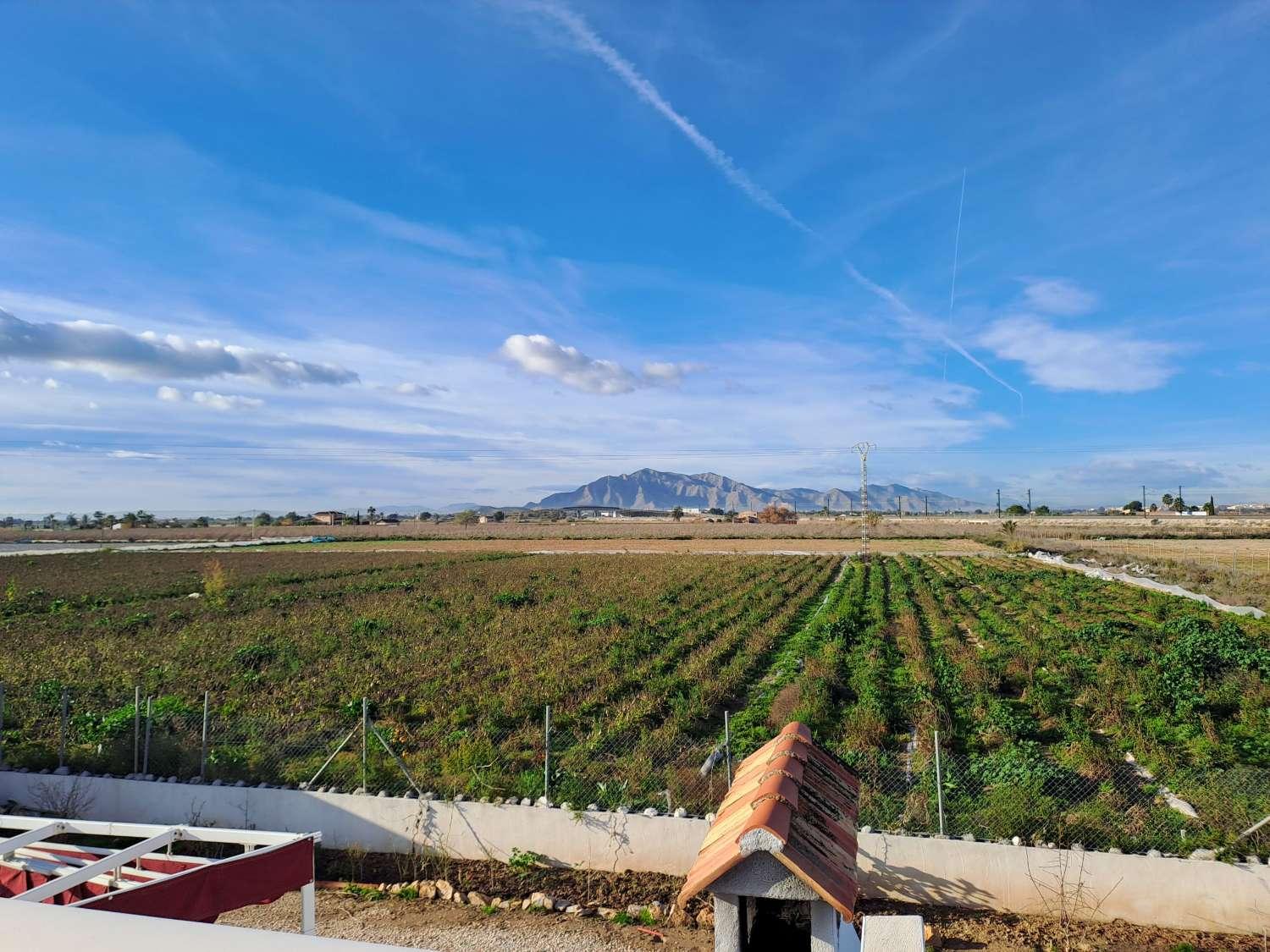 Casa en Venta en Crevillent