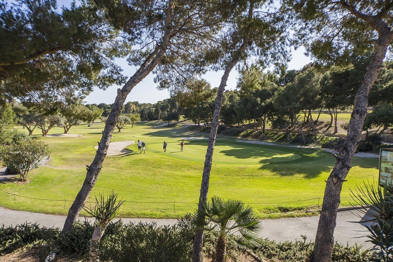 Penthouse for Sale in Orihuela