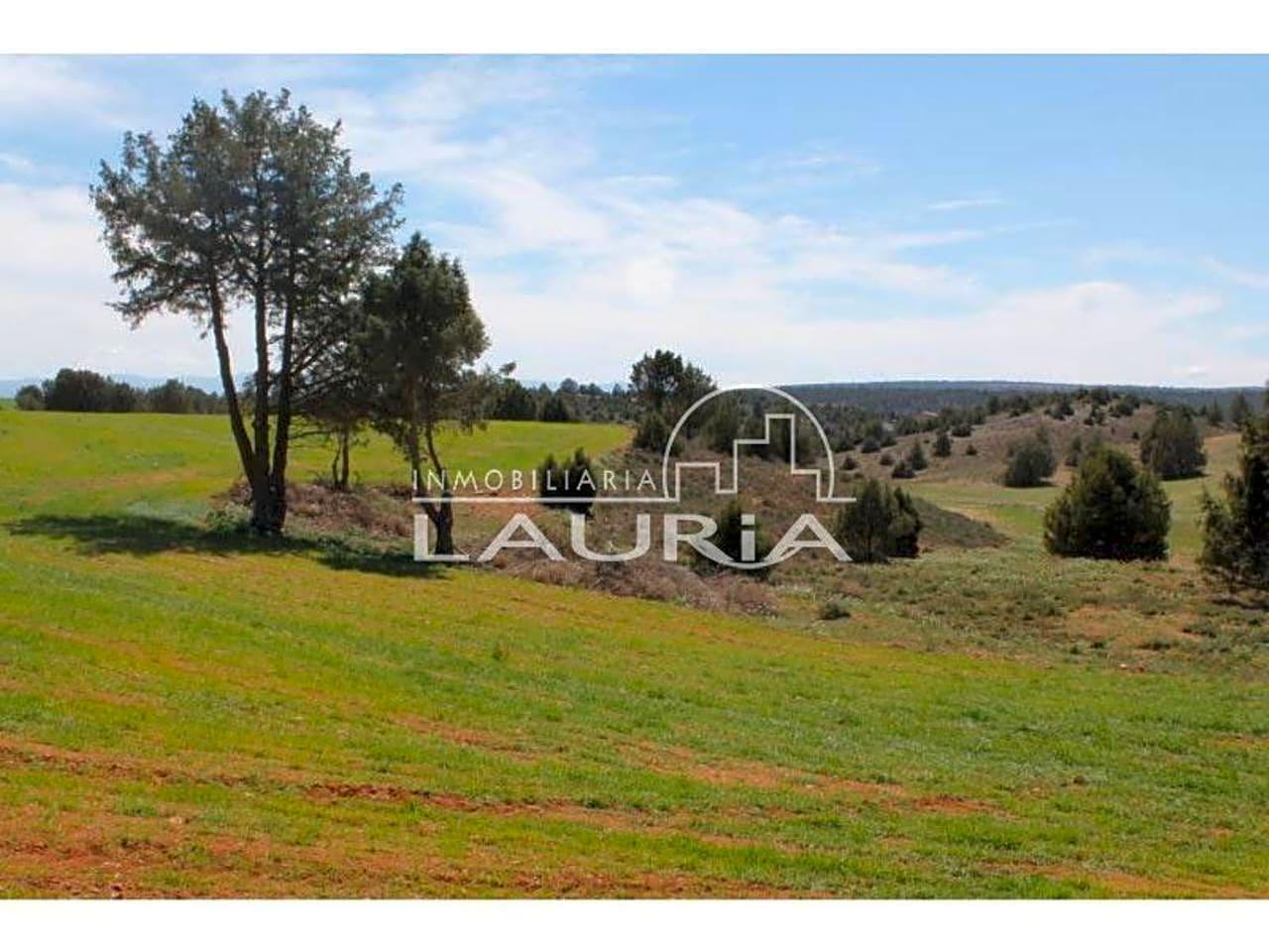 Finca en Venta en Teruel