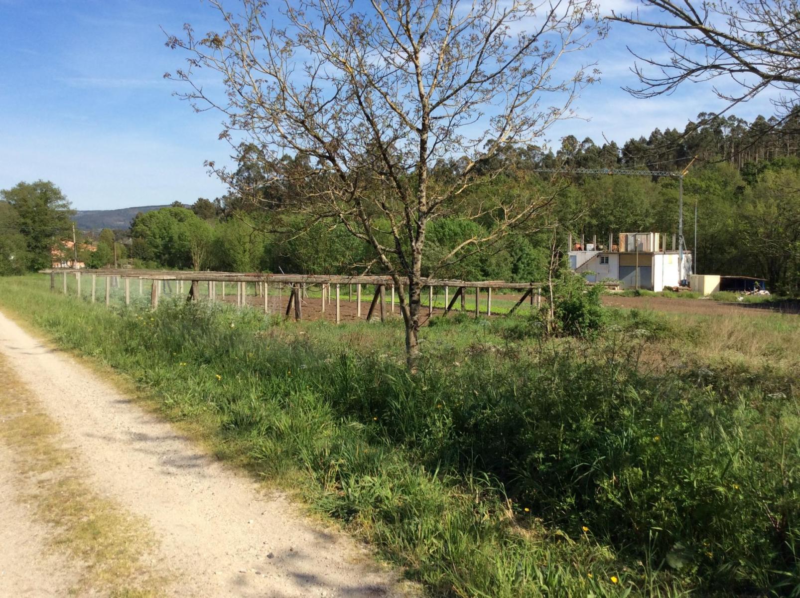 Plot for Sale in Estrada, A