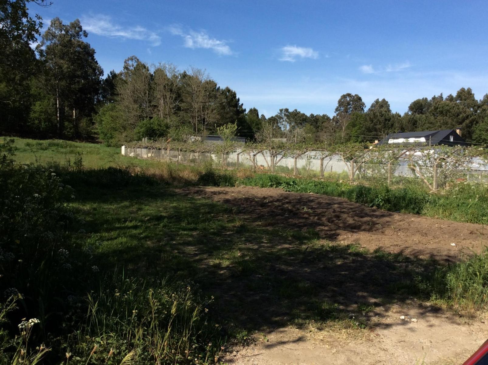 Plot for Sale in Estrada, A