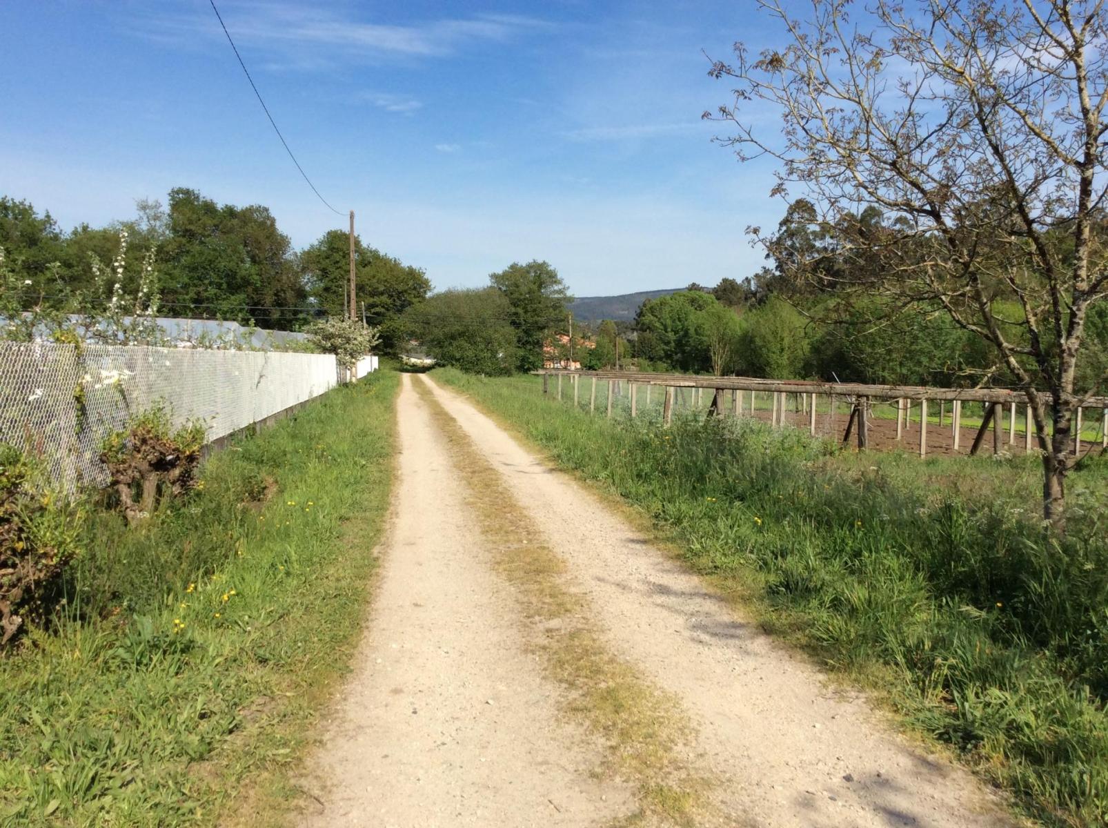 Plot for Sale in Estrada, A