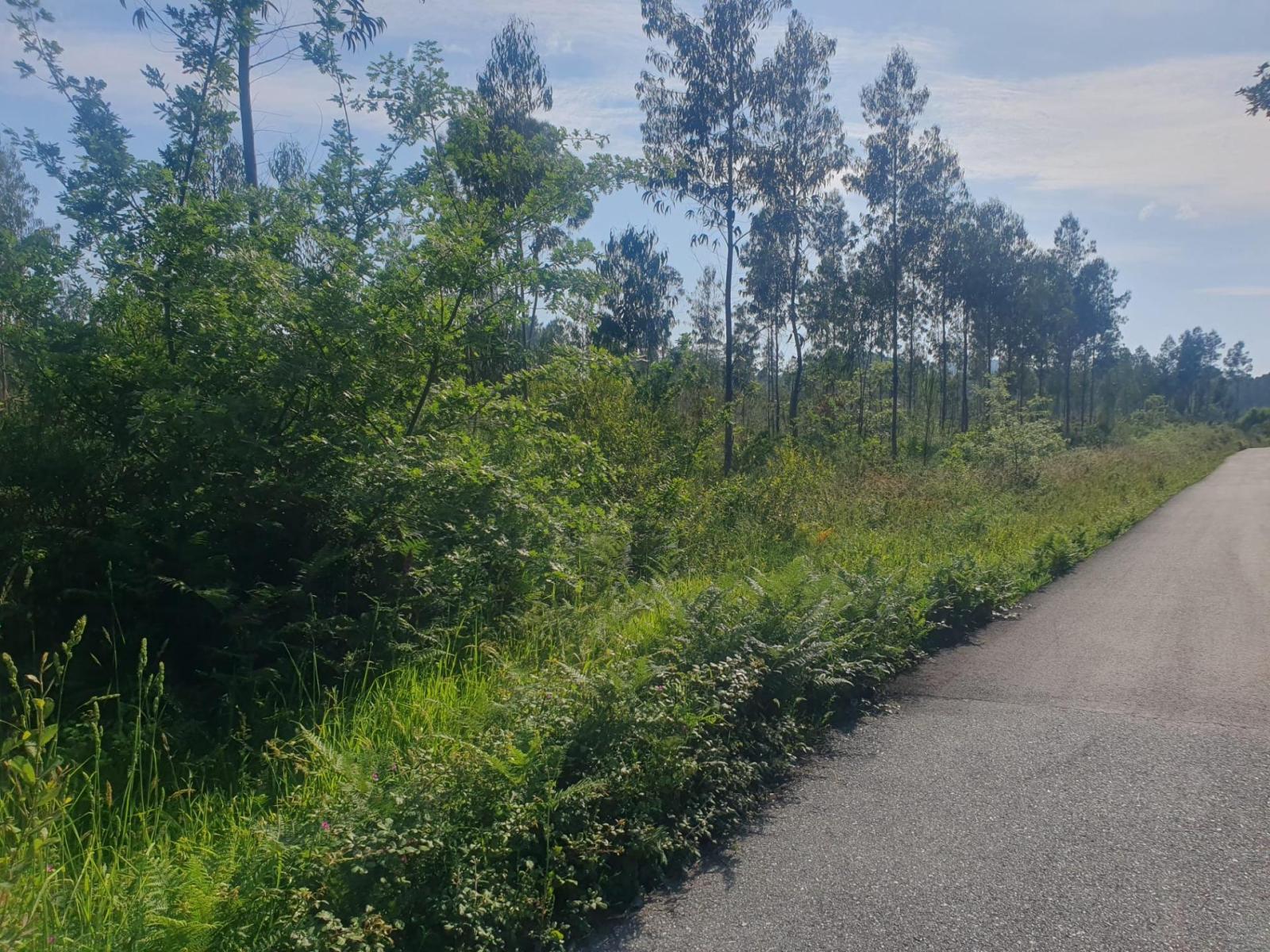 Plot for Sale in Porto do Son