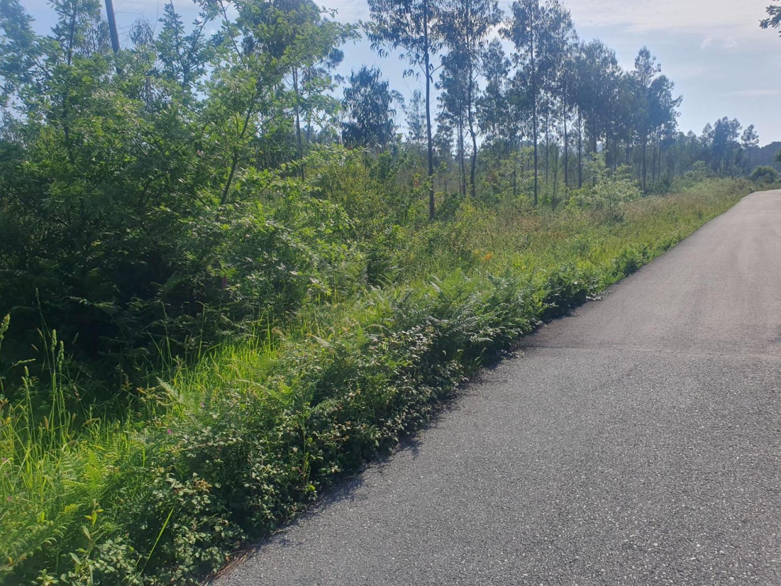 Plot for Sale in Porto do Son