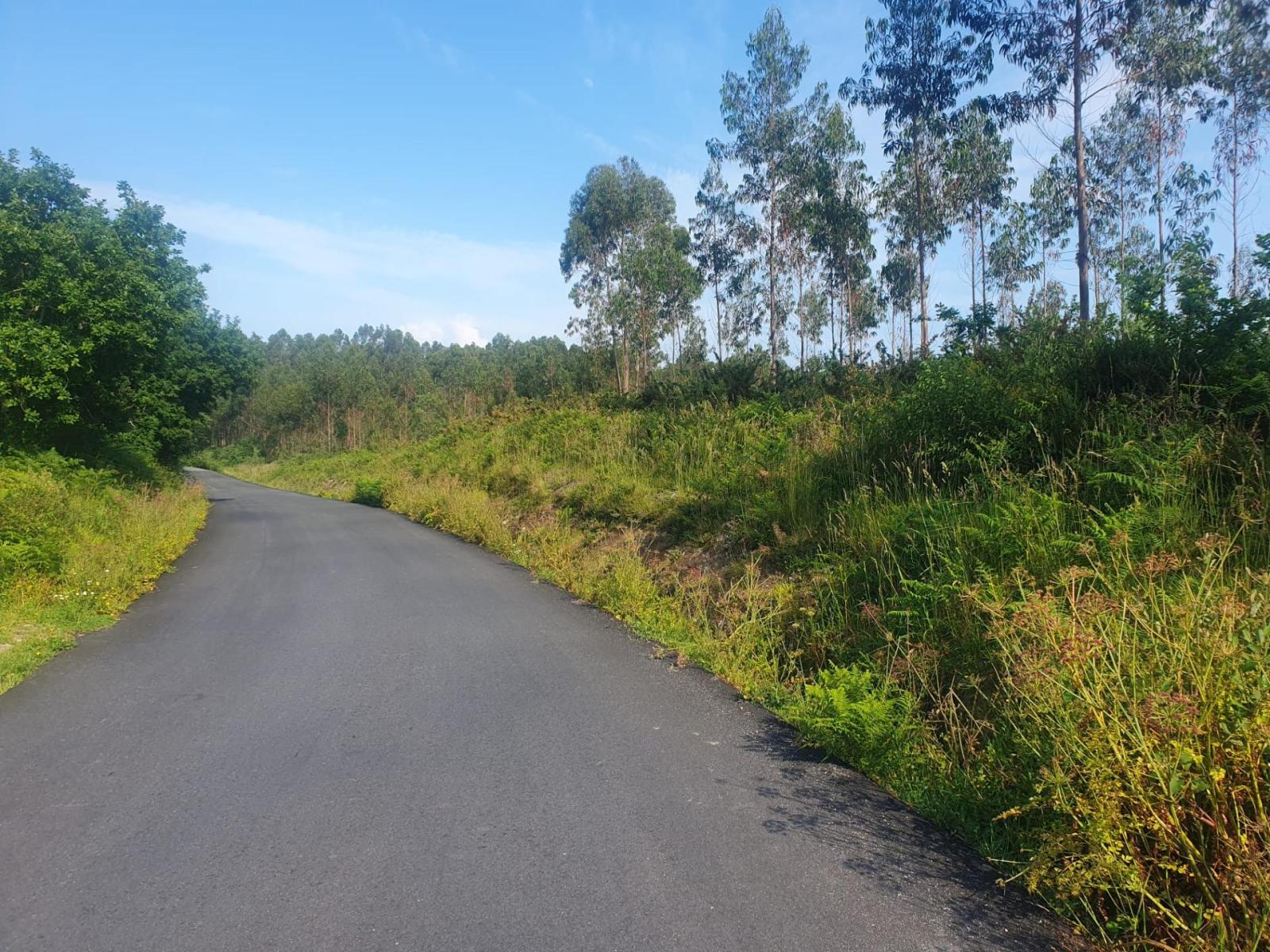 Plot for Sale in Porto do Son