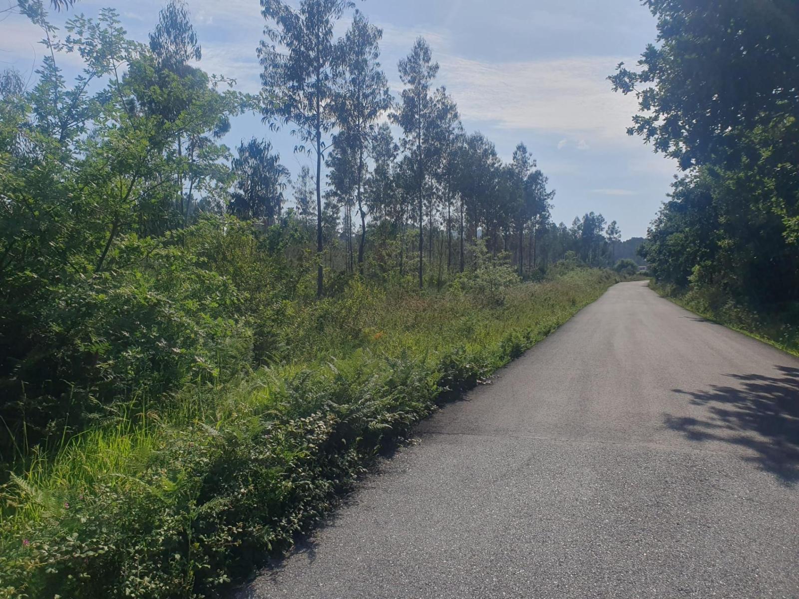 Plot for Sale in Porto do Son
