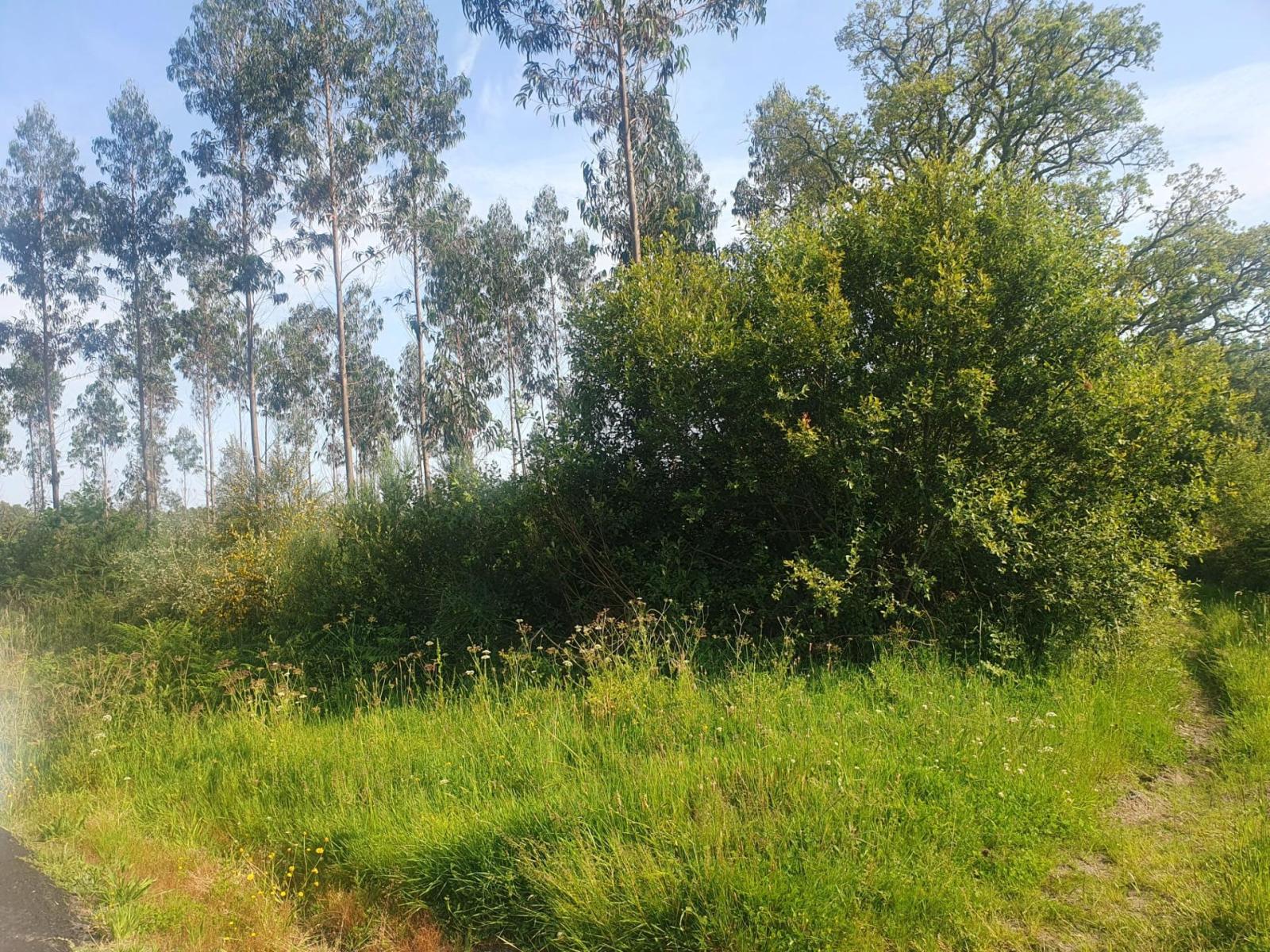 Plot for Sale in Porto do Son