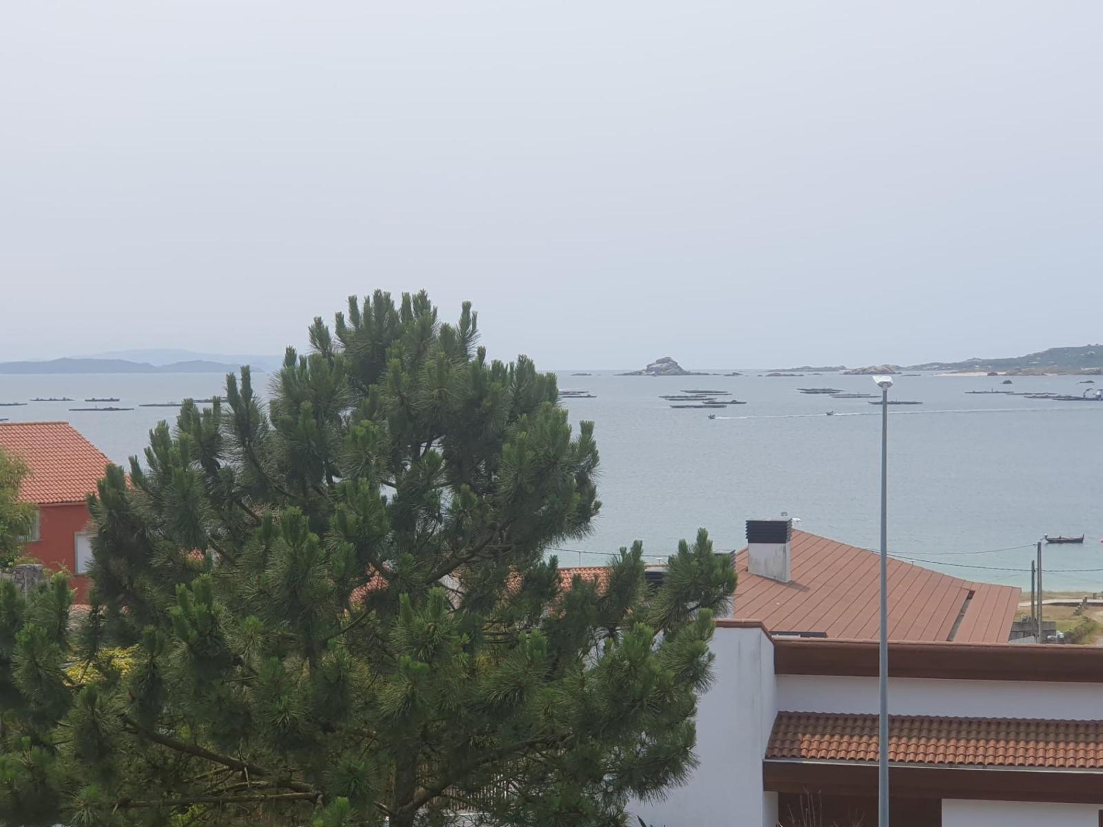 Apartment for Sale in Ribeira