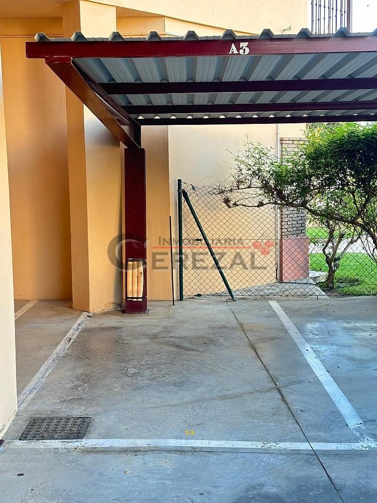 Apartamento en Alquiler en Mezquitilla
